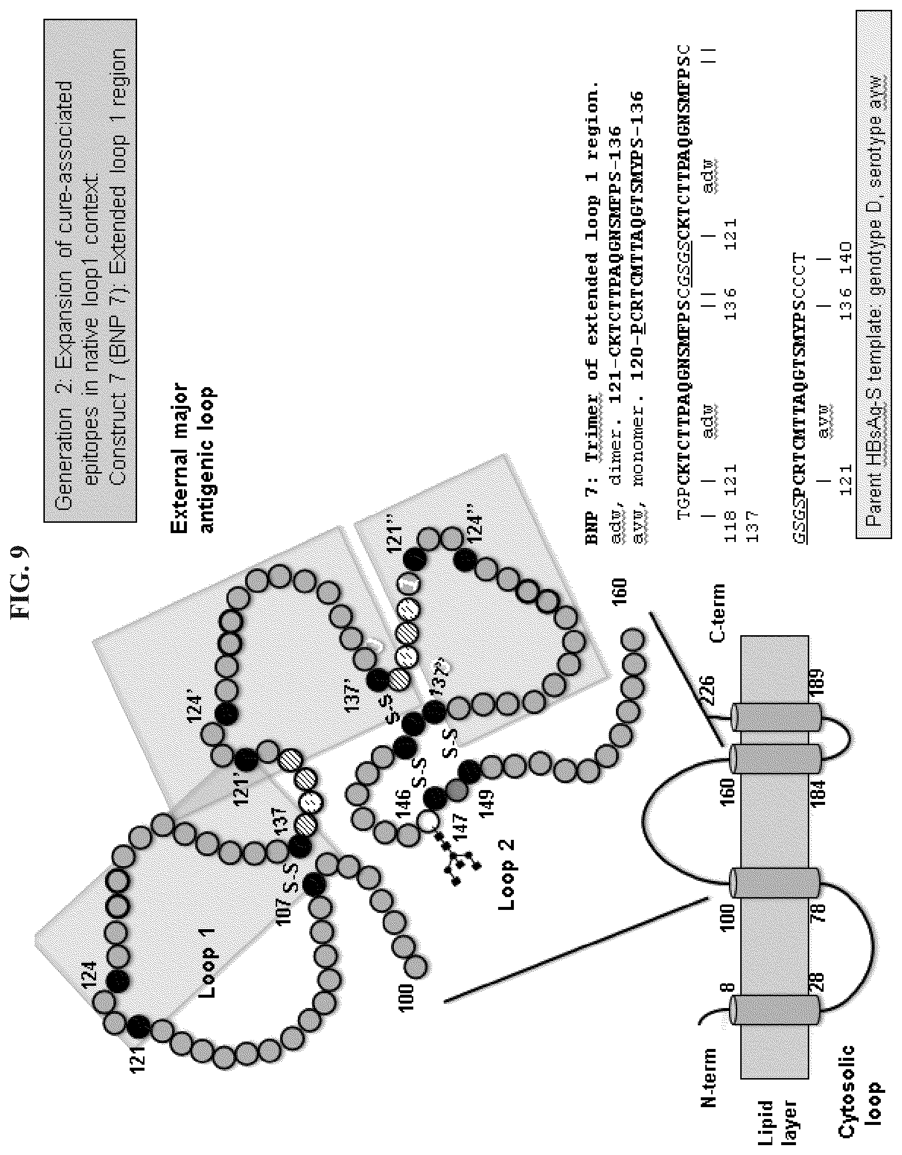 Patent US11773141 Figure 8 – Methods and compositions for the treatment of hepatitis B infection