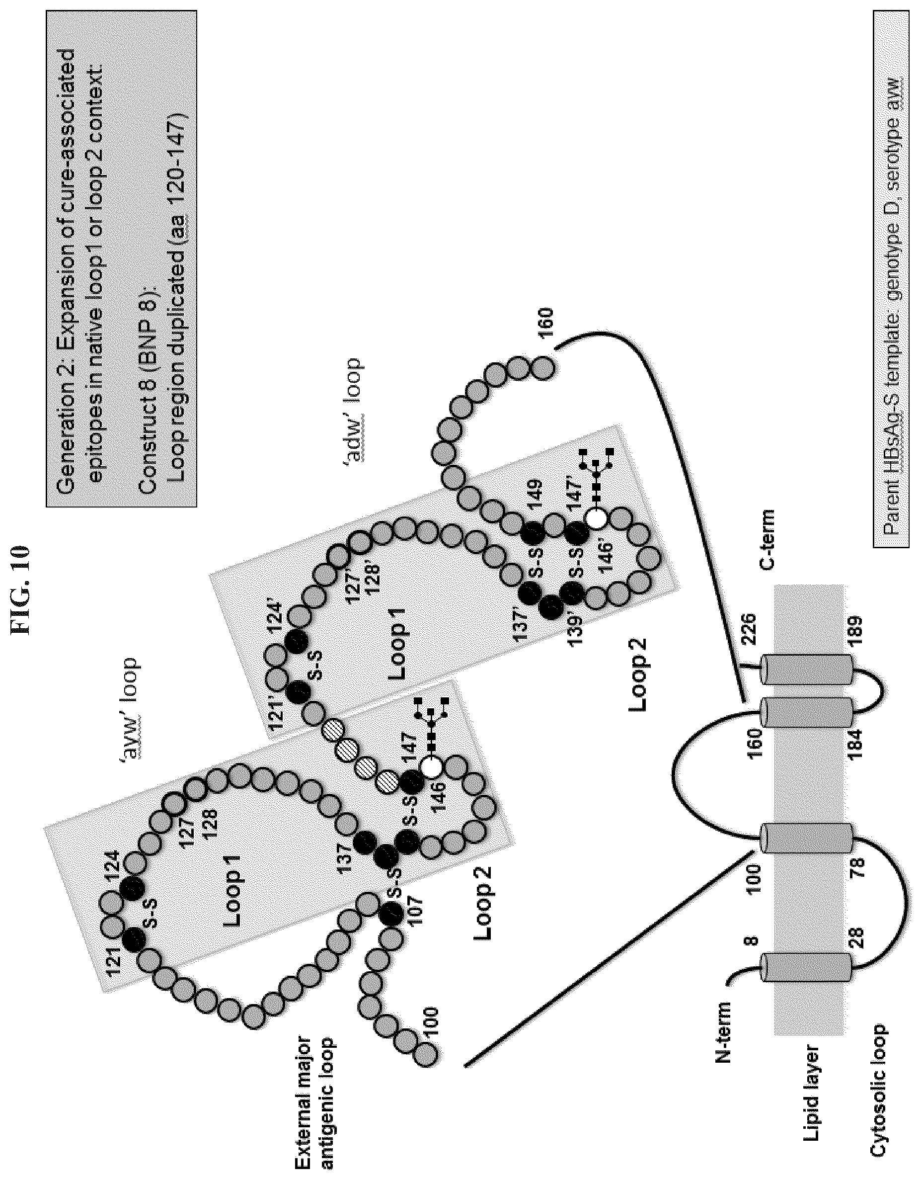 Patent US11773141 Figure 9 – Methods and compositions for the treatment of hepatitis B infection