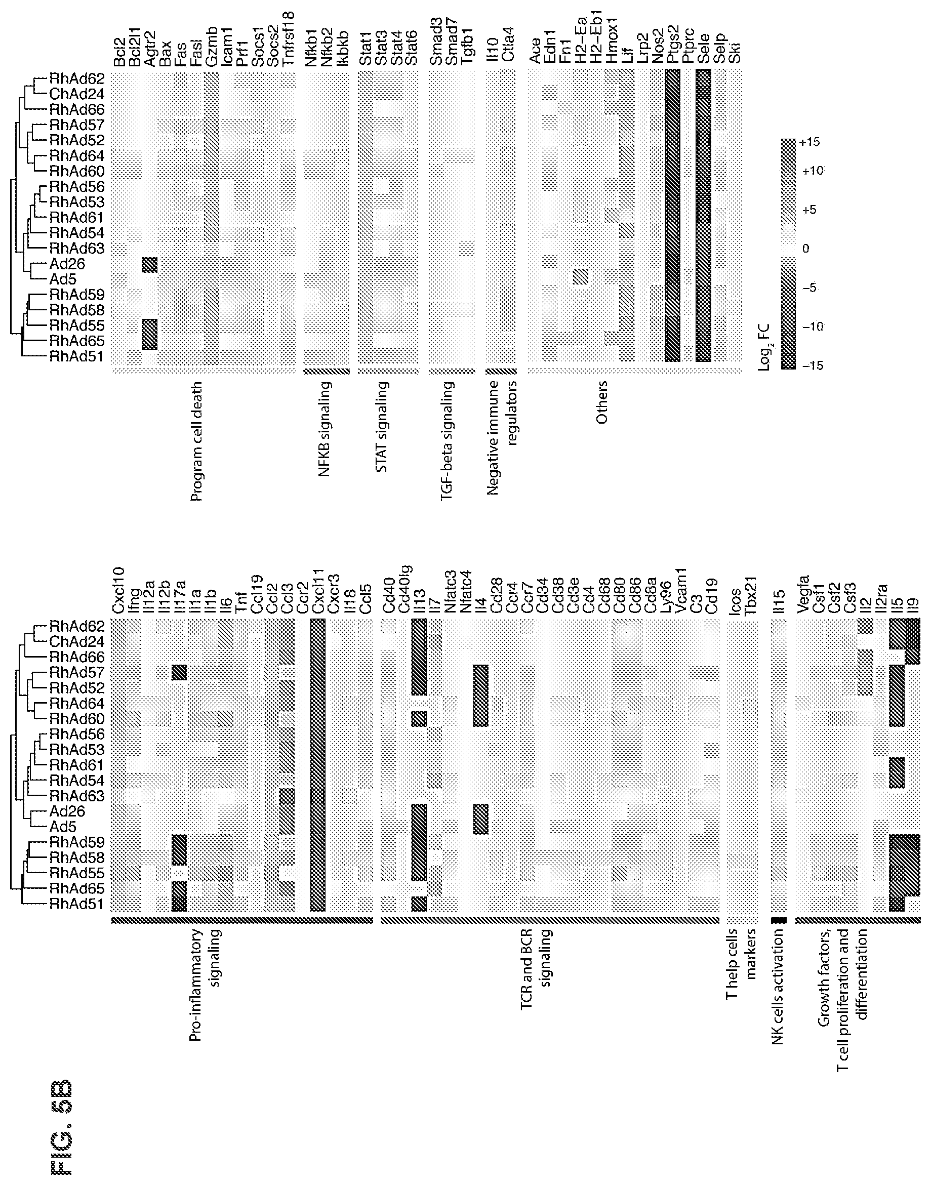 Patent US11773142 Figure 11 – Recombinant adenoviruses and uses thereof