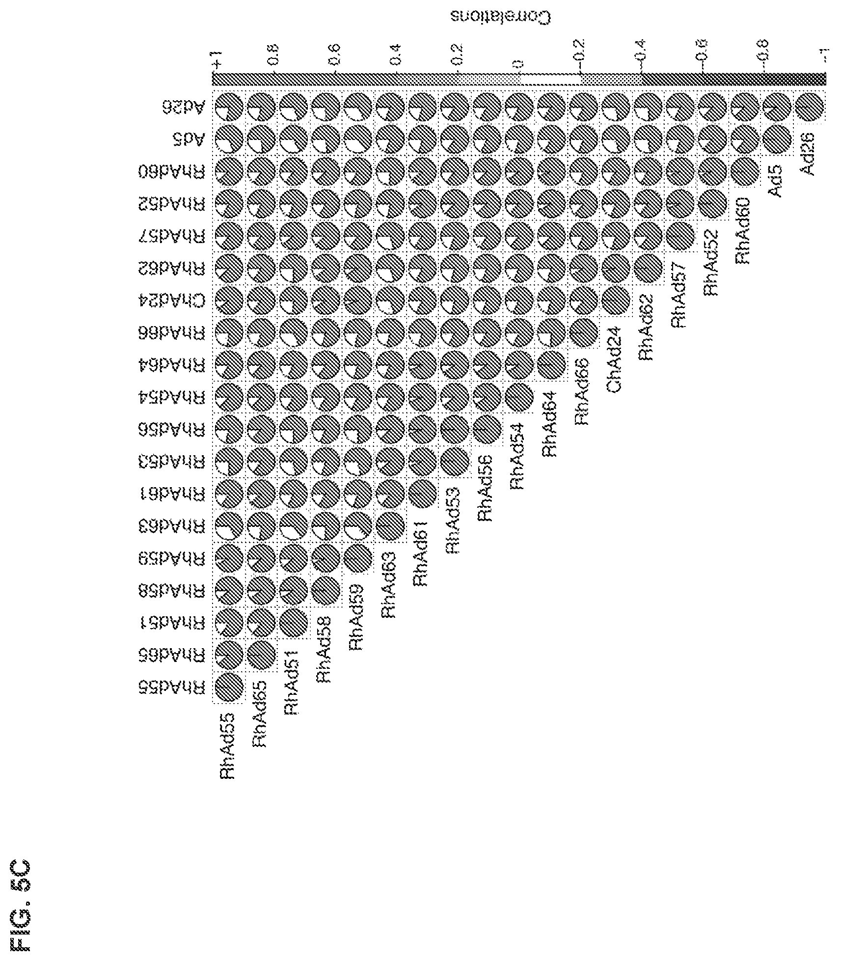 Patent US11773142 Figure 12 – Recombinant adenoviruses and uses thereof