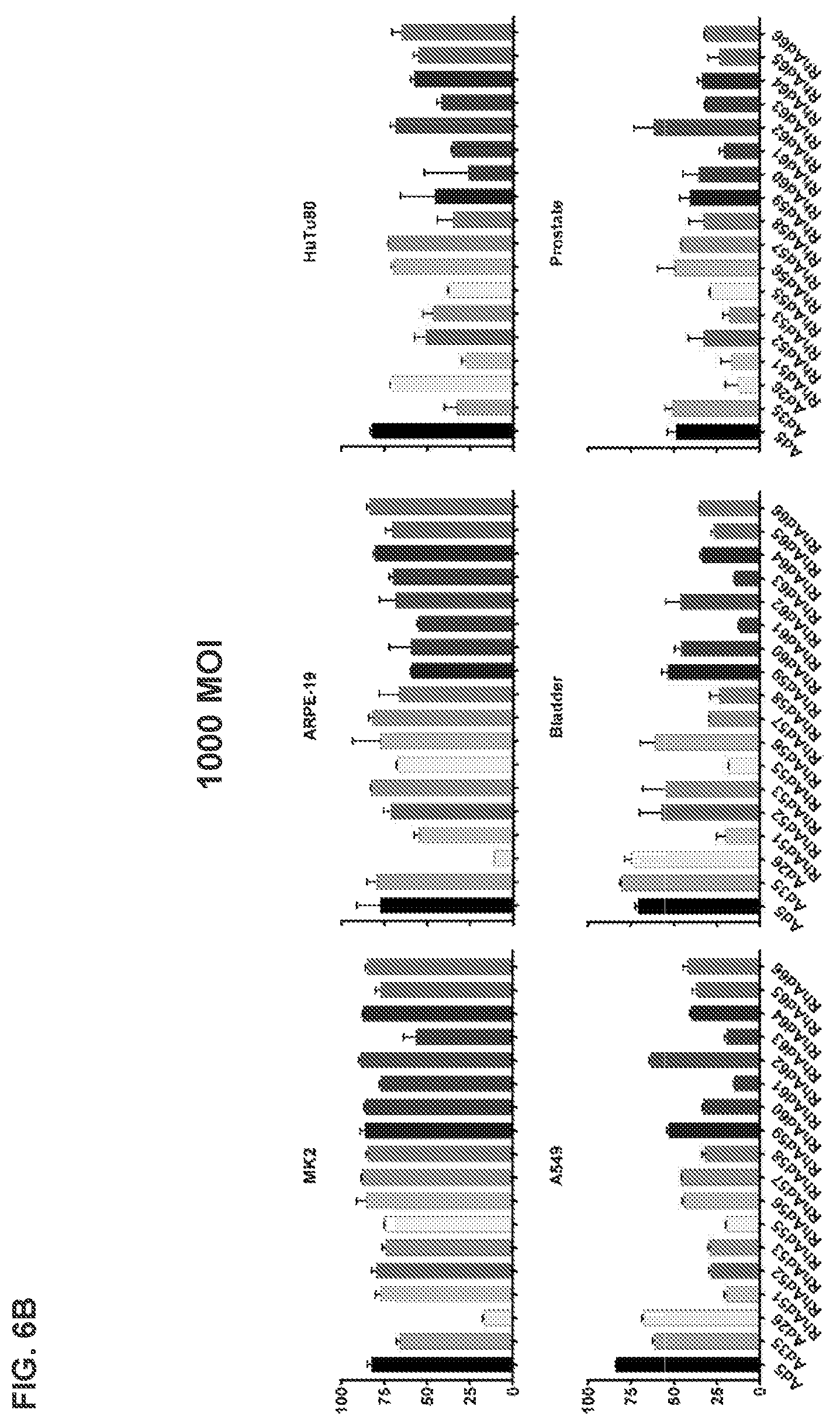 Patent US11773142 Figure 14 – Recombinant adenoviruses and uses thereof