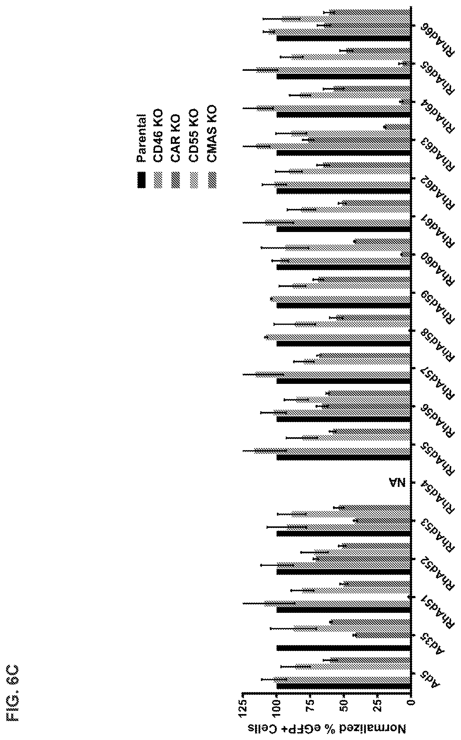 Patent US11773142 Figure 15 – Recombinant adenoviruses and uses thereof