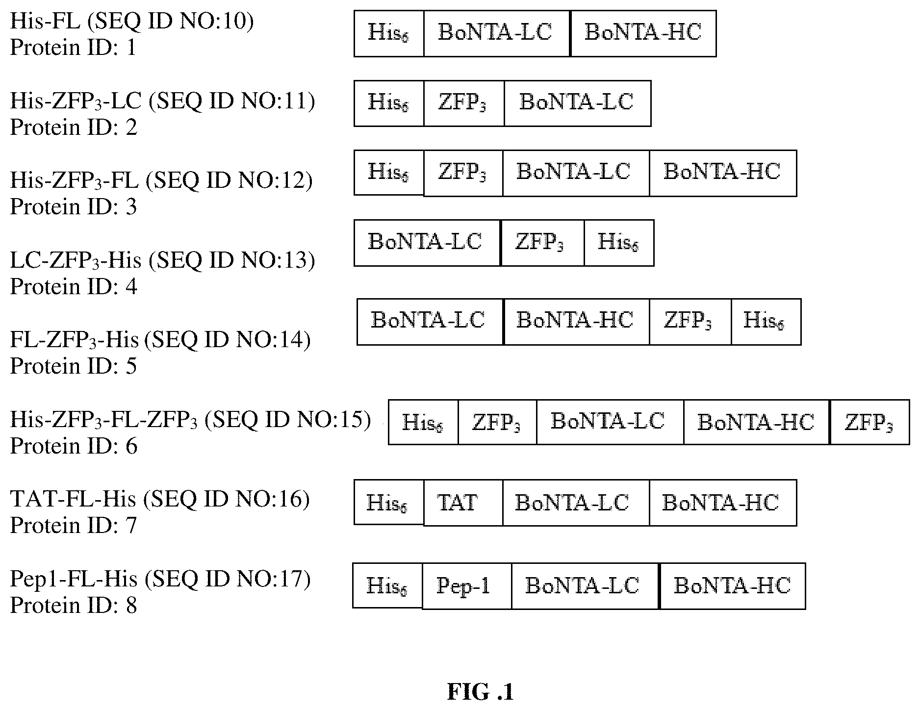 Patent US11773145 Figure 1 – Topical compositions and uses