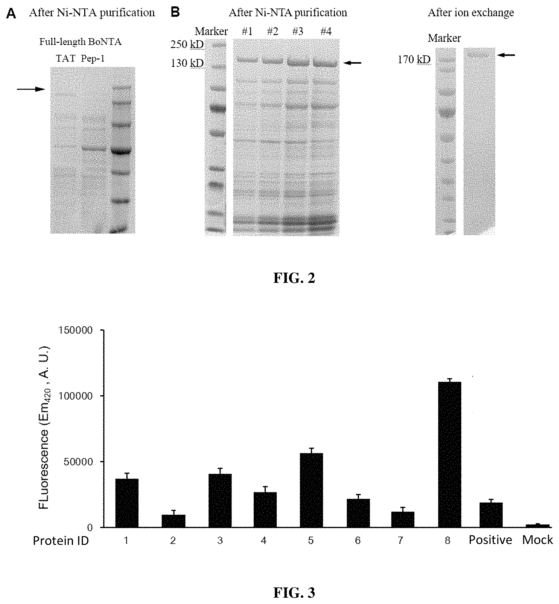 Patent US11773145 Figure 2 – Topical compositions and uses