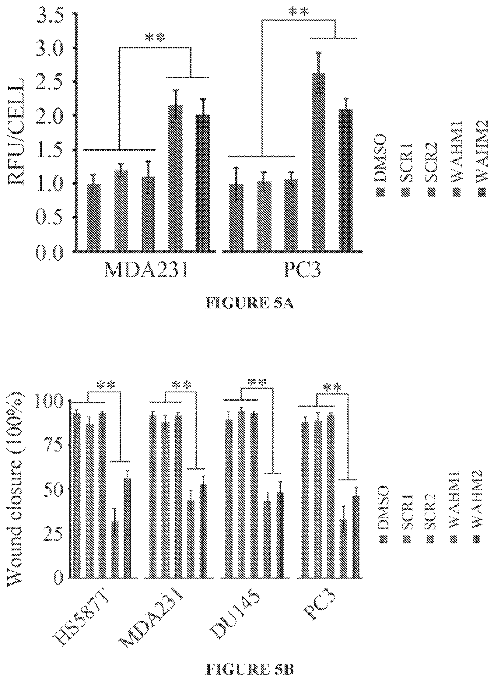 Patent US11773146 Figure 6 – Disruption of the WAVE3 protein complex for suppression of invasion and metastasis
