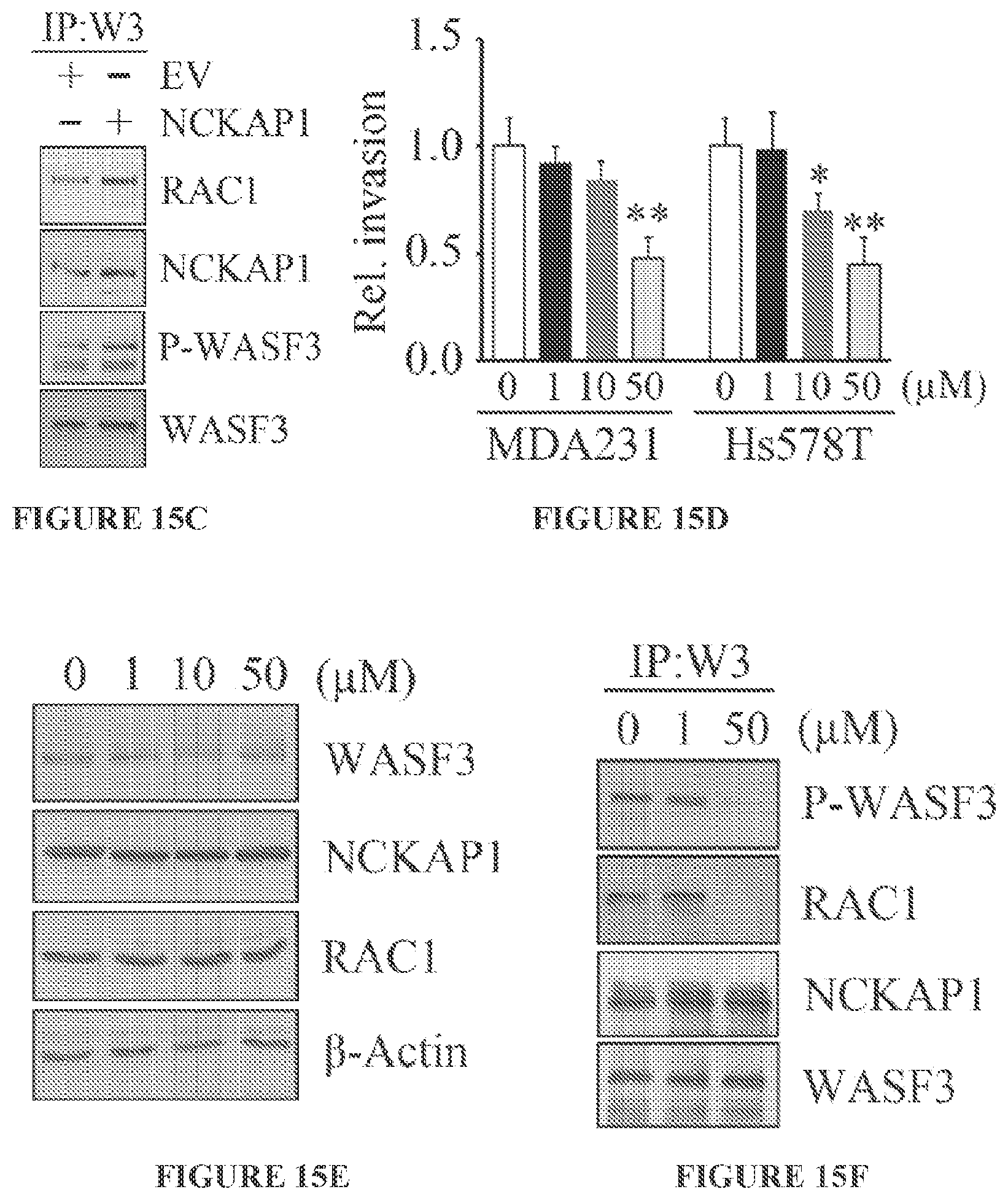 Patent US11773146 Figure 20 – Disruption of the WAVE3 protein complex for suppression of invasion and metastasis