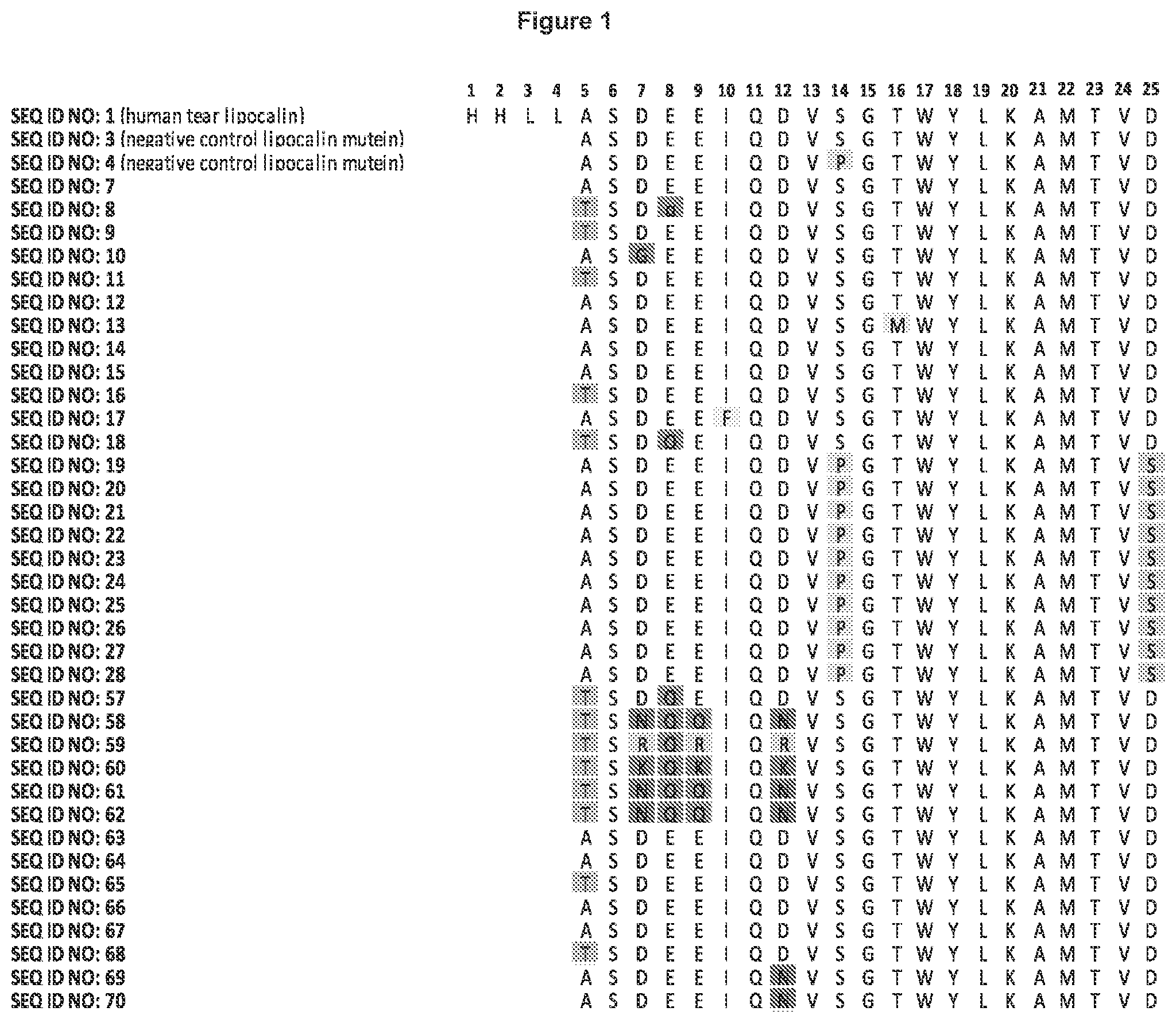 Patent US11773147 — Lipocalin muteins with binding affinity for LAG-3 — Figure 1