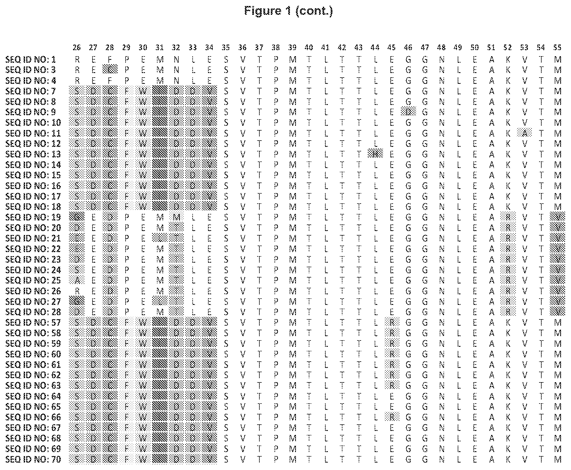 Patent US11773147 Figure 2 – Lipocalin muteins with binding affinity for LAG-3