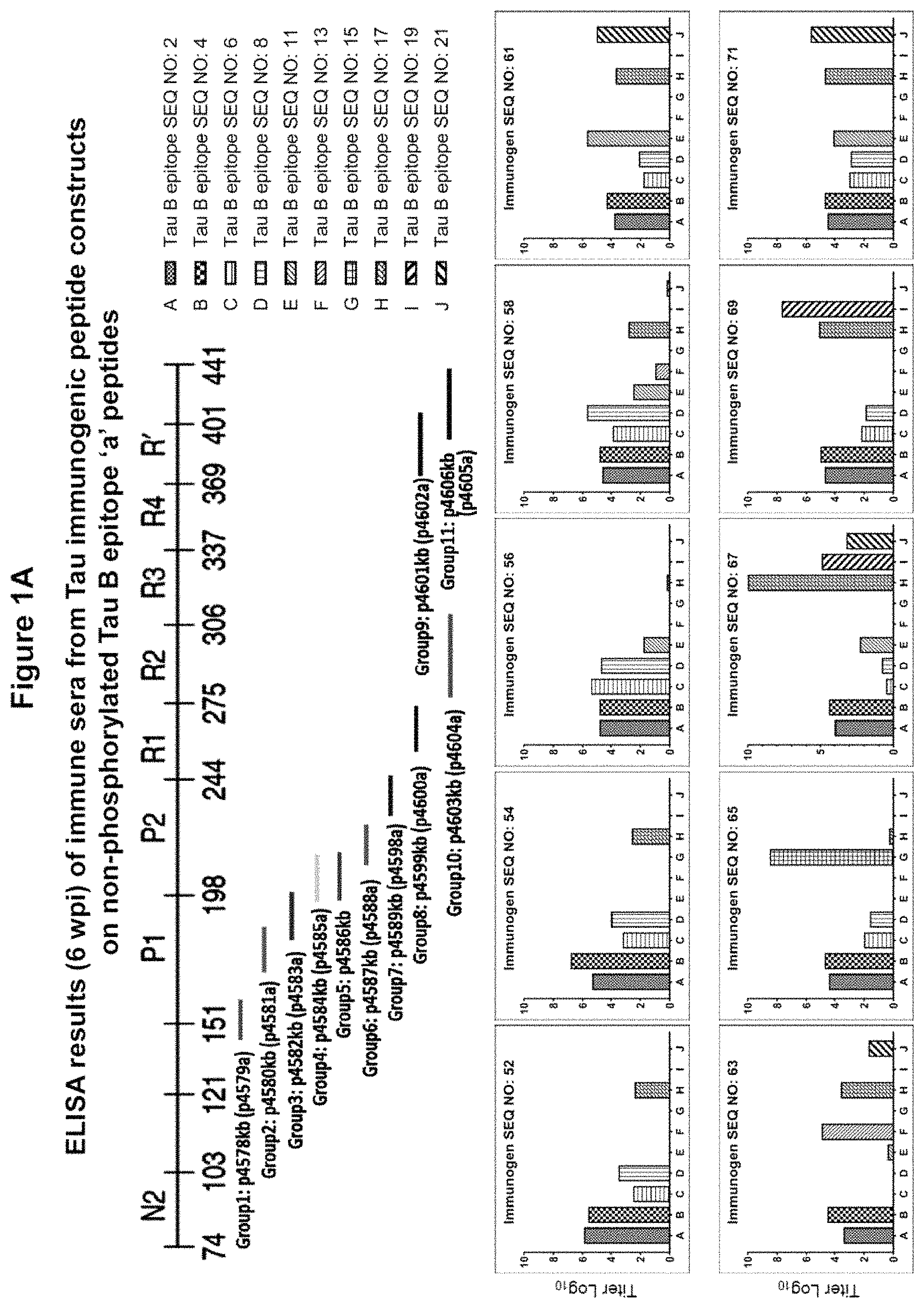 Patent US11773148 Figure 1 – Tau peptide immunogen constructs