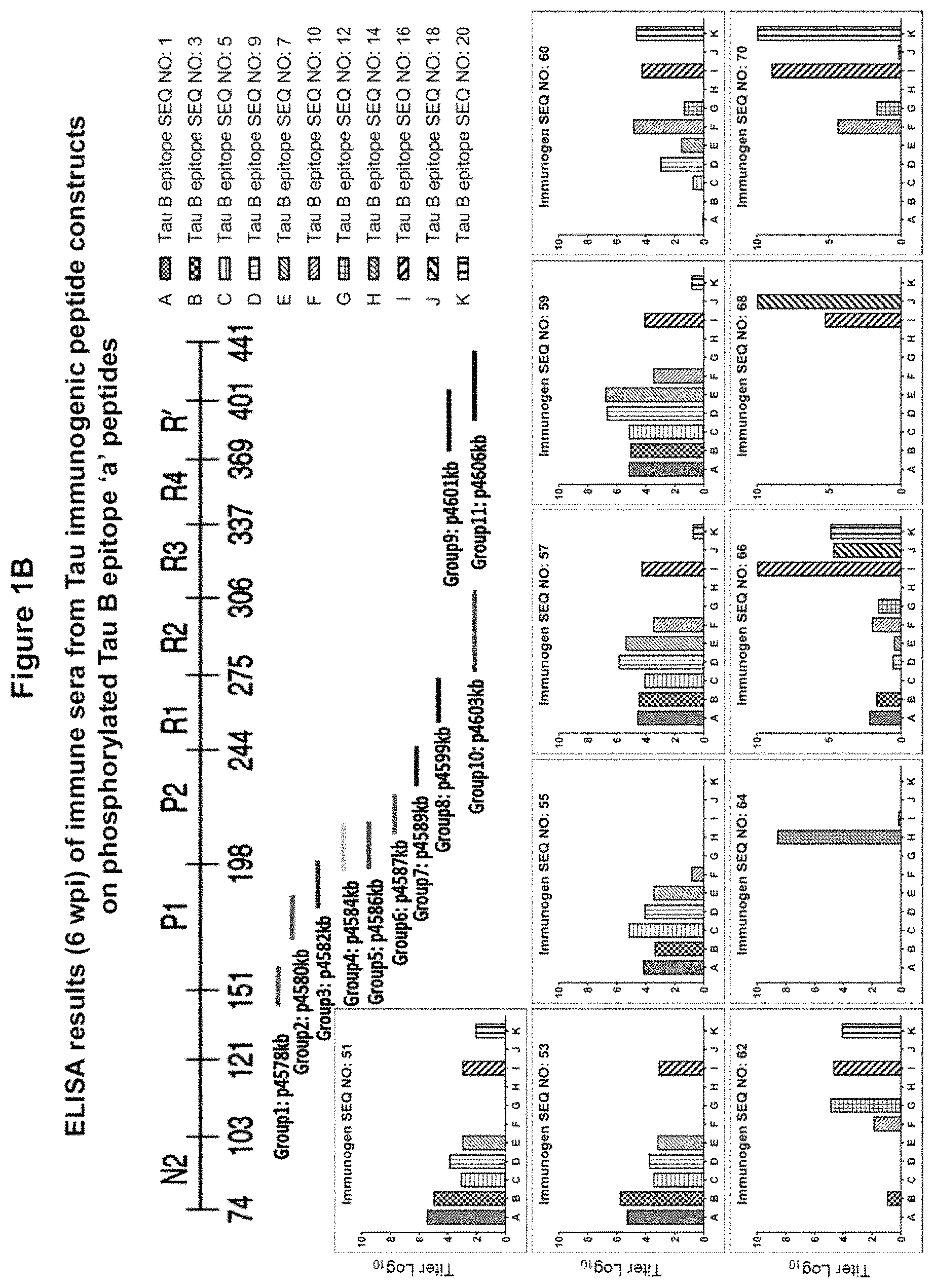 Patent US11773148 Figure 2 – Tau peptide immunogen constructs