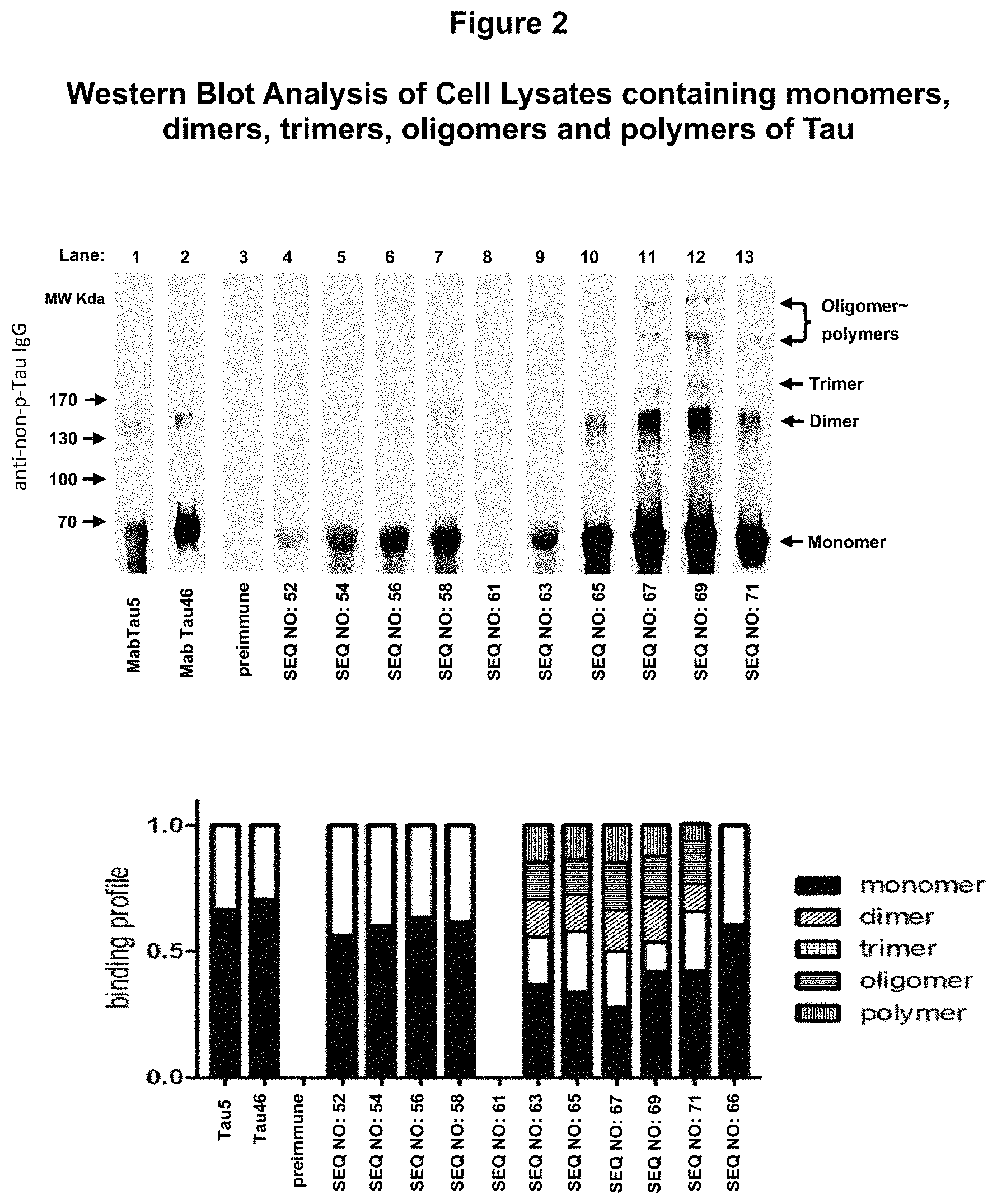 Patent US11773148 Figure 3 – Tau peptide immunogen constructs