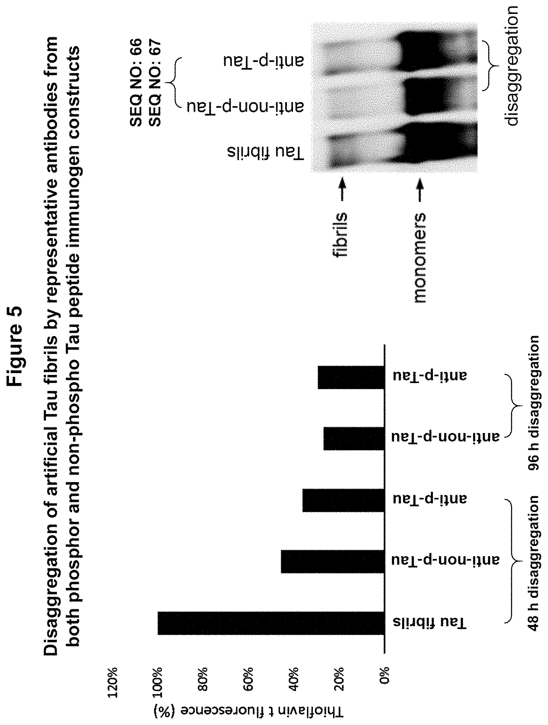 Patent US11773148 Figure 7 – Tau peptide immunogen constructs