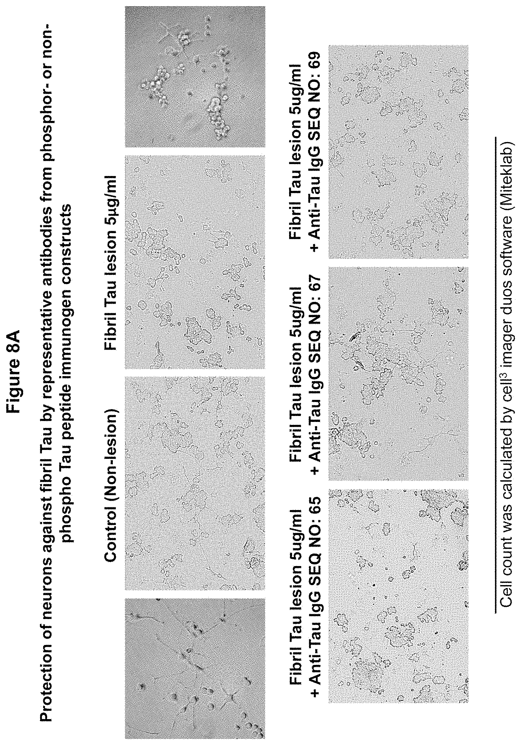 Patent US11773148 Figure 10 – Tau peptide immunogen constructs