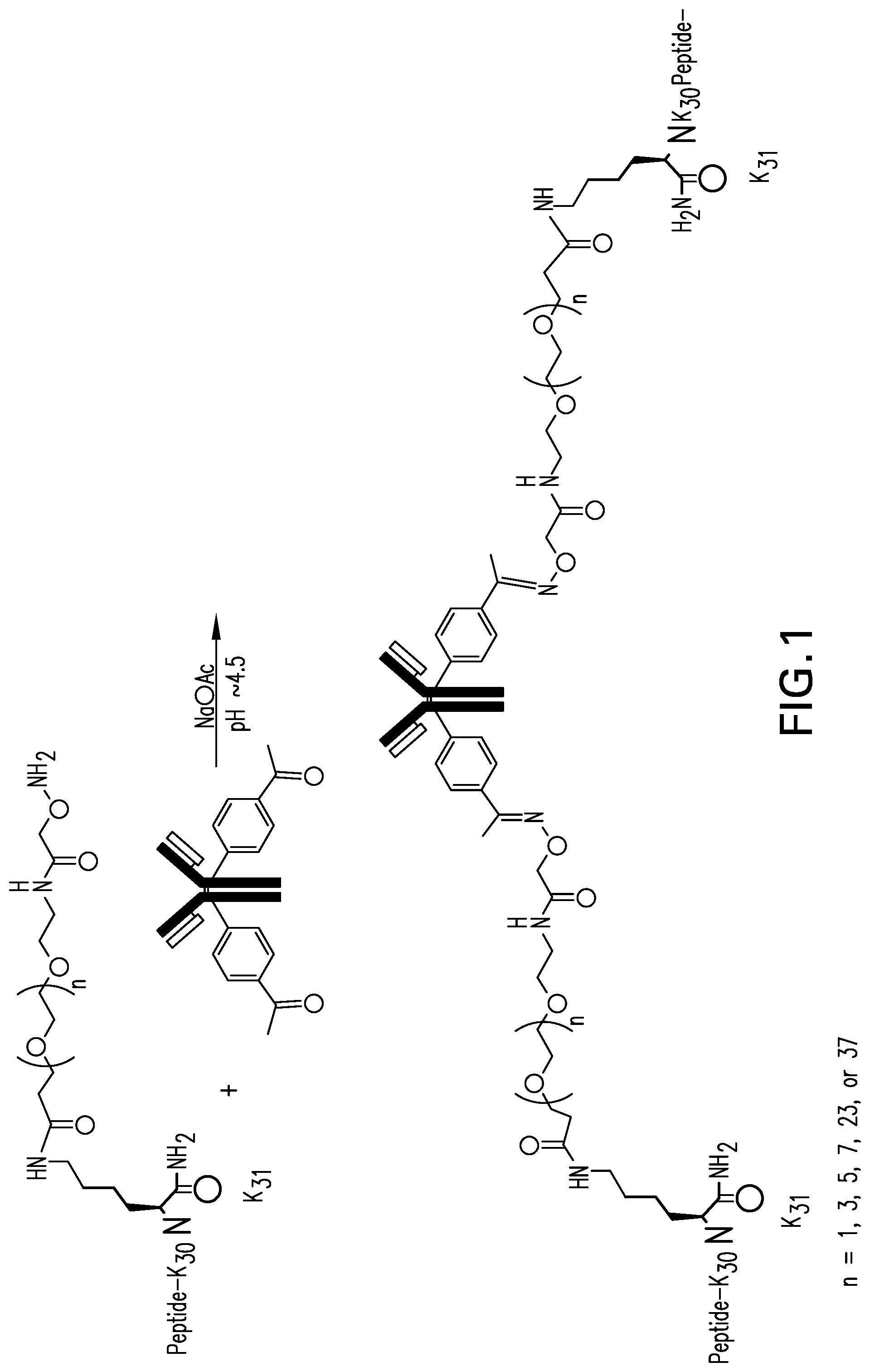 Patent US11773150 Figure 1 – Antibody peptide conjugates that have agonist activity at both the glucagon and glucagon-like peptide 1 receptors