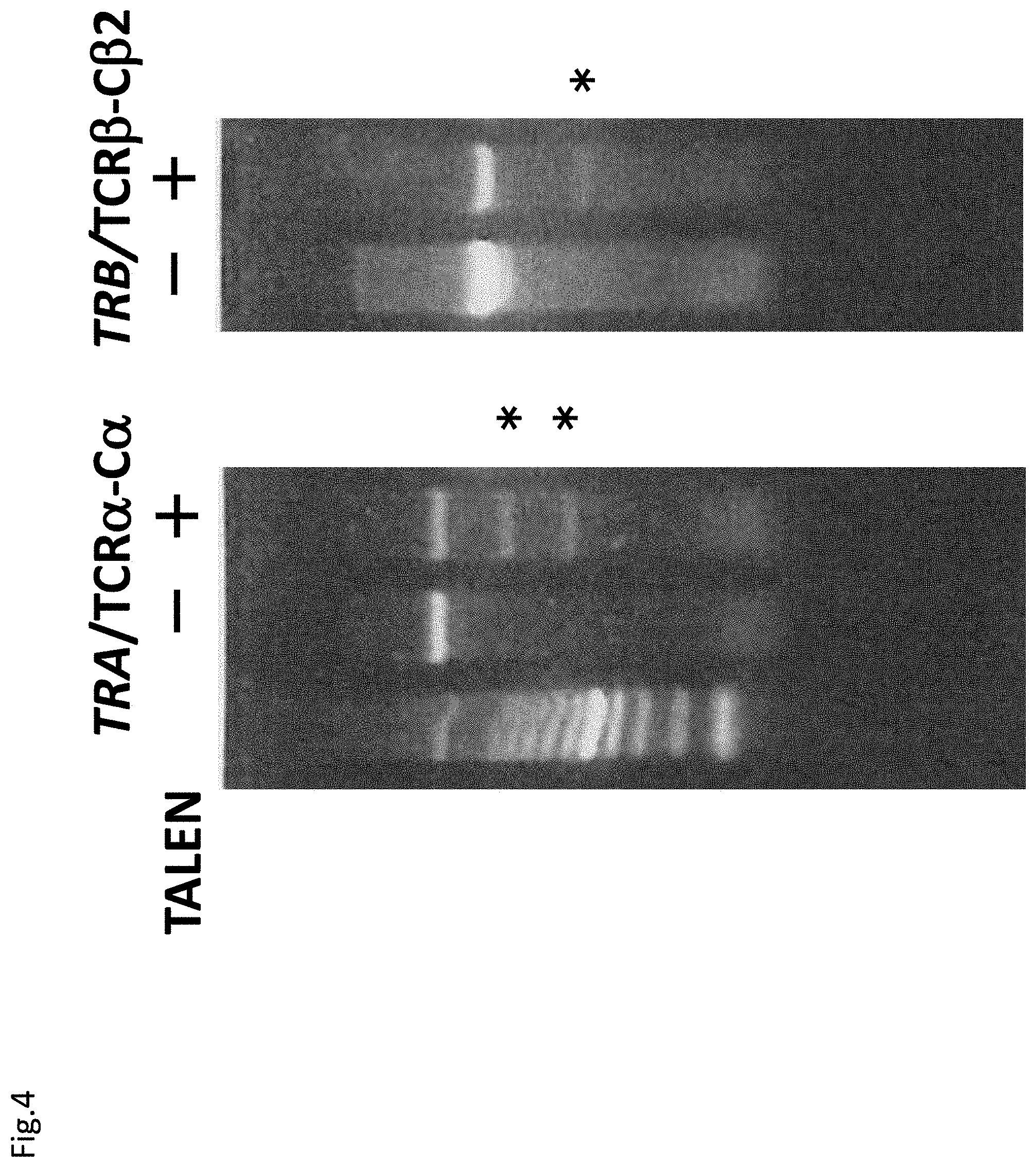 Patent US11773152 Figure 4 – Technique for creating antigen-specific regulatory T cells (Treg) in which effector T cell (Teff) antigen receptors are used