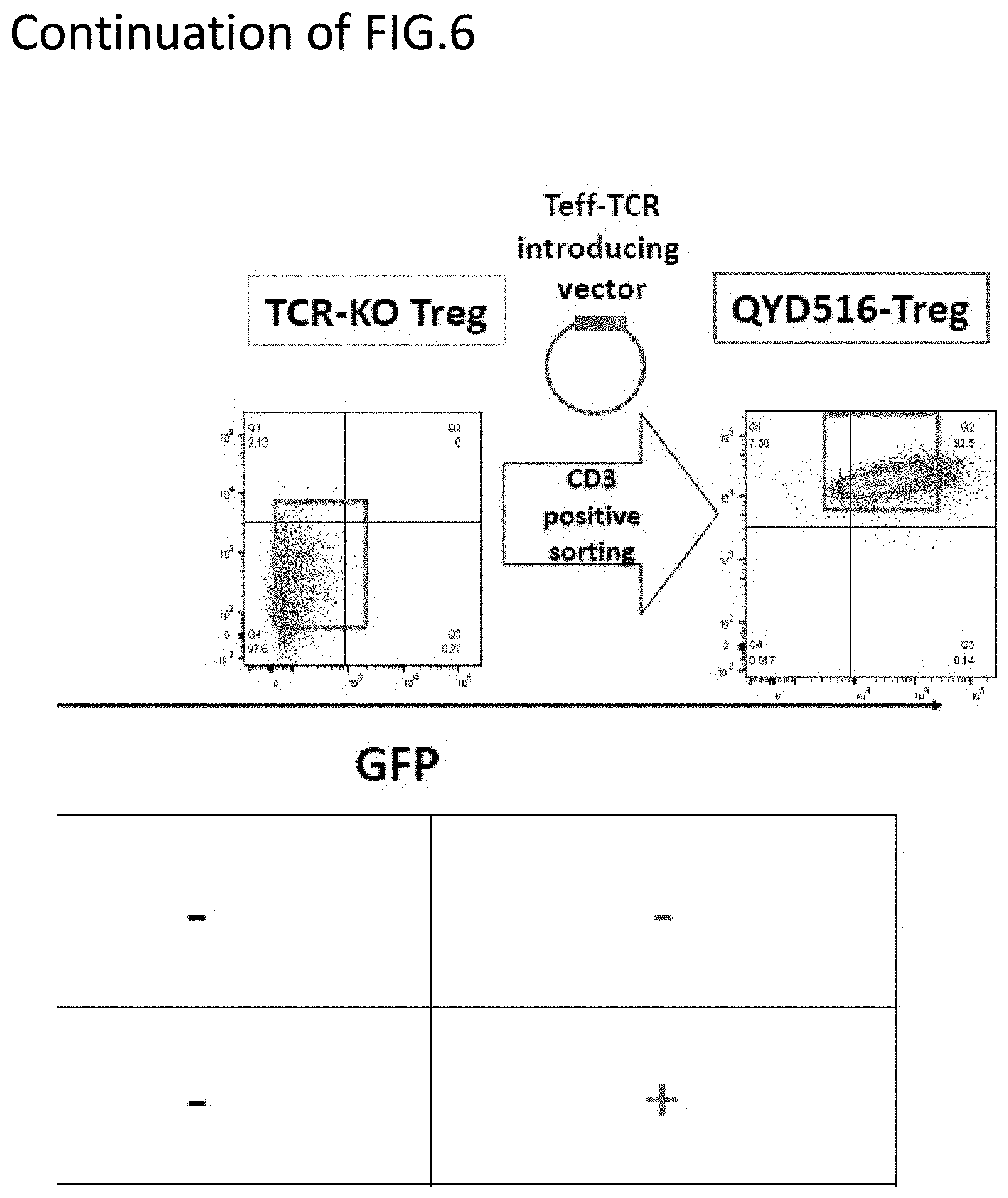 Patent US11773152 Figure 7 – Technique for creating antigen-specific regulatory T cells (Treg) in which effector T cell (Teff) antigen receptors are used