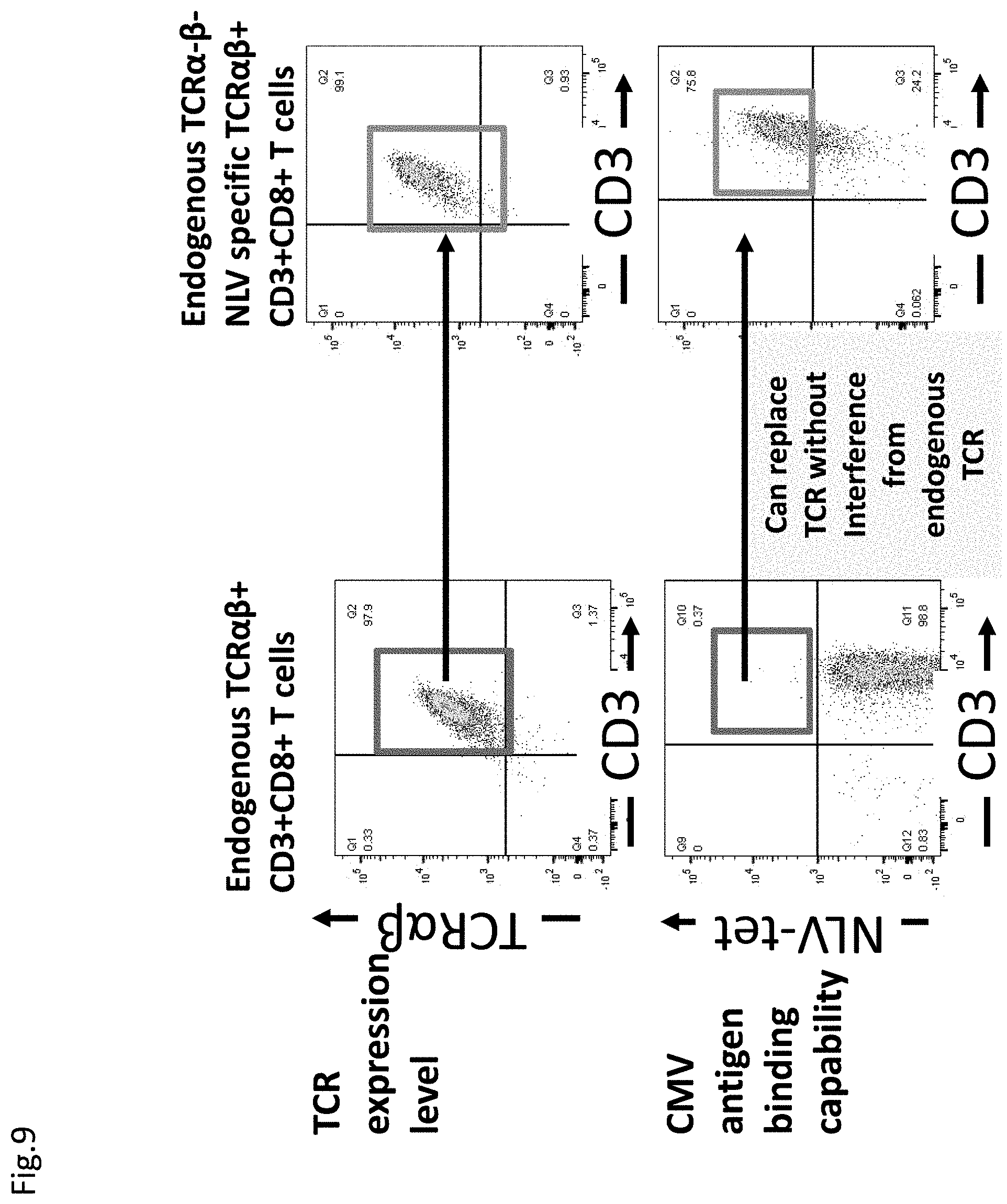 Patent US11773152 Figure 12 – Technique for creating antigen-specific regulatory T cells (Treg) in which effector T cell (Teff) antigen receptors are used