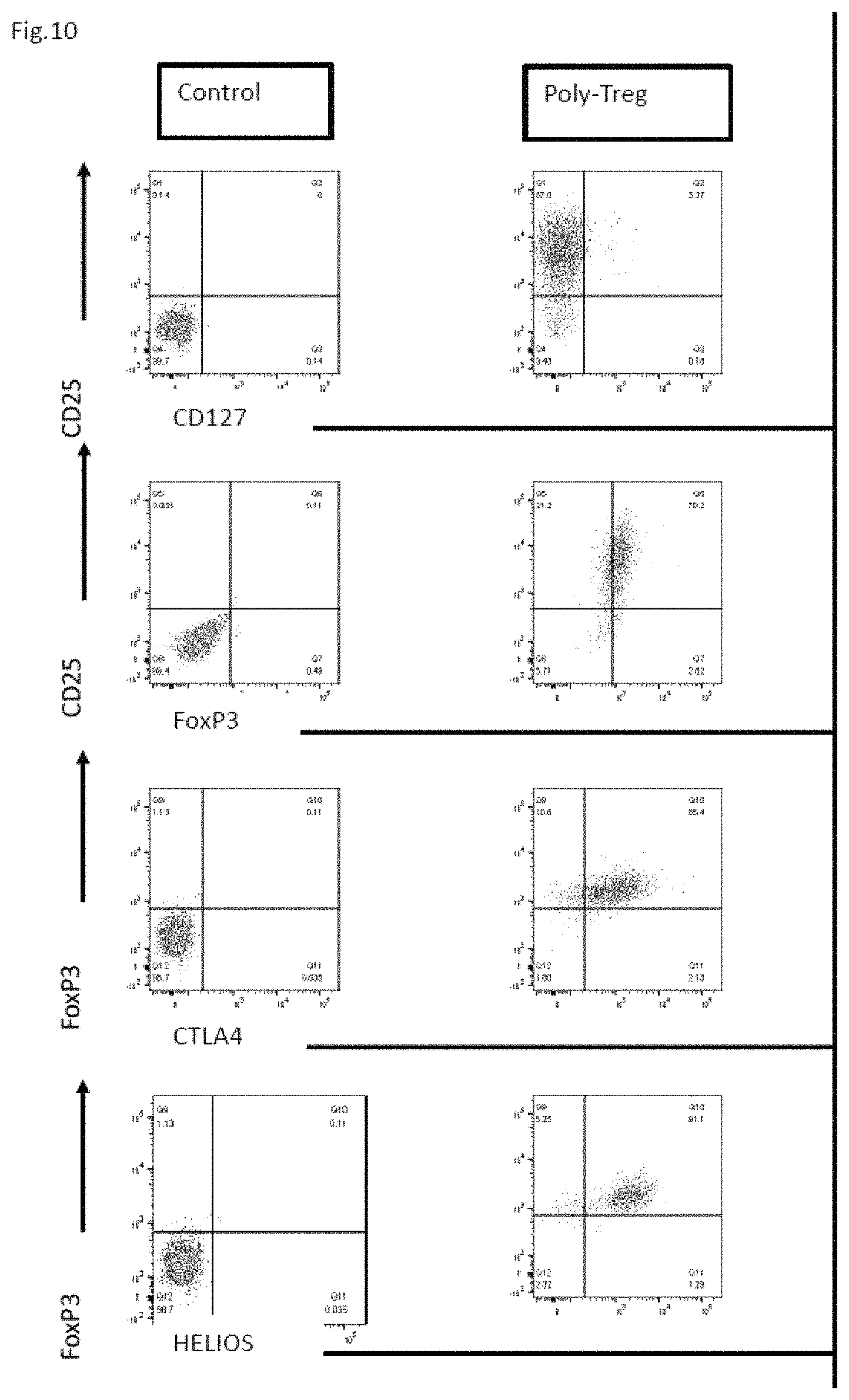 Patent US11773152 Figure 13 – Technique for creating antigen-specific regulatory T cells (Treg) in which effector T cell (Teff) antigen receptors are used