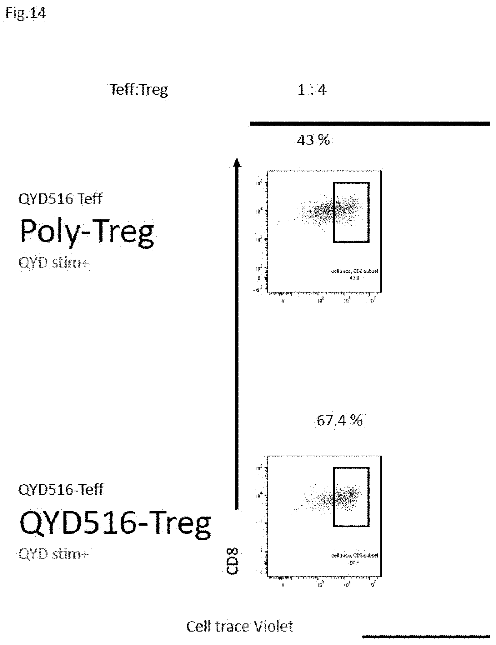 Patent US11773152 Figure 19 – Technique for creating antigen-specific regulatory T cells (Treg) in which effector T cell (Teff) antigen receptors are used