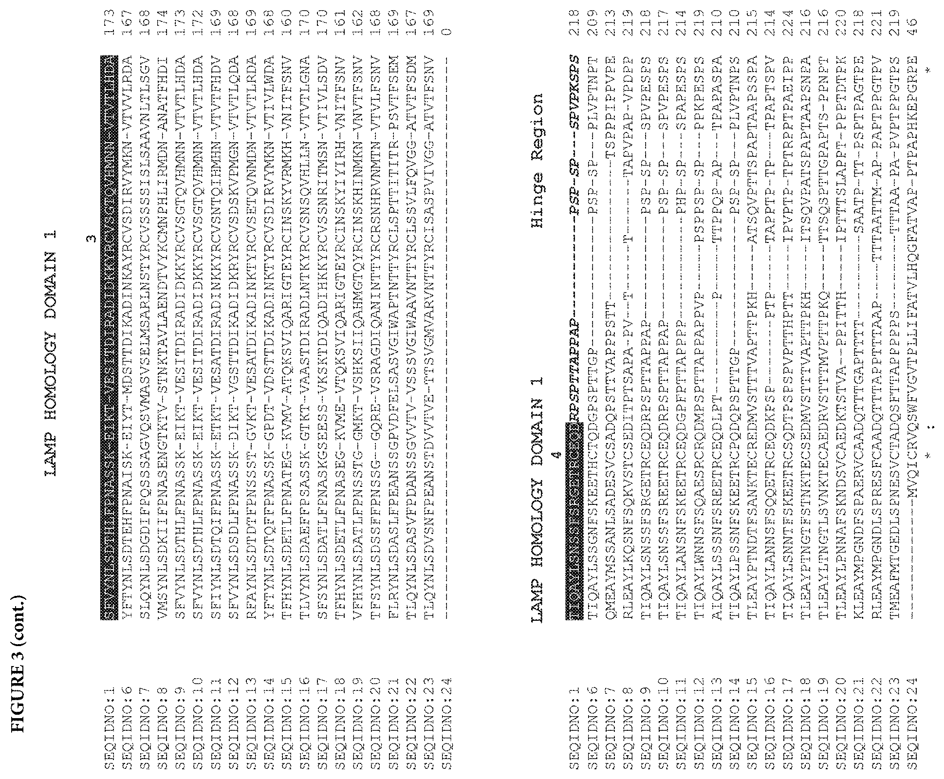 Patent US11773153 Figure 6 – LAMP constructs
