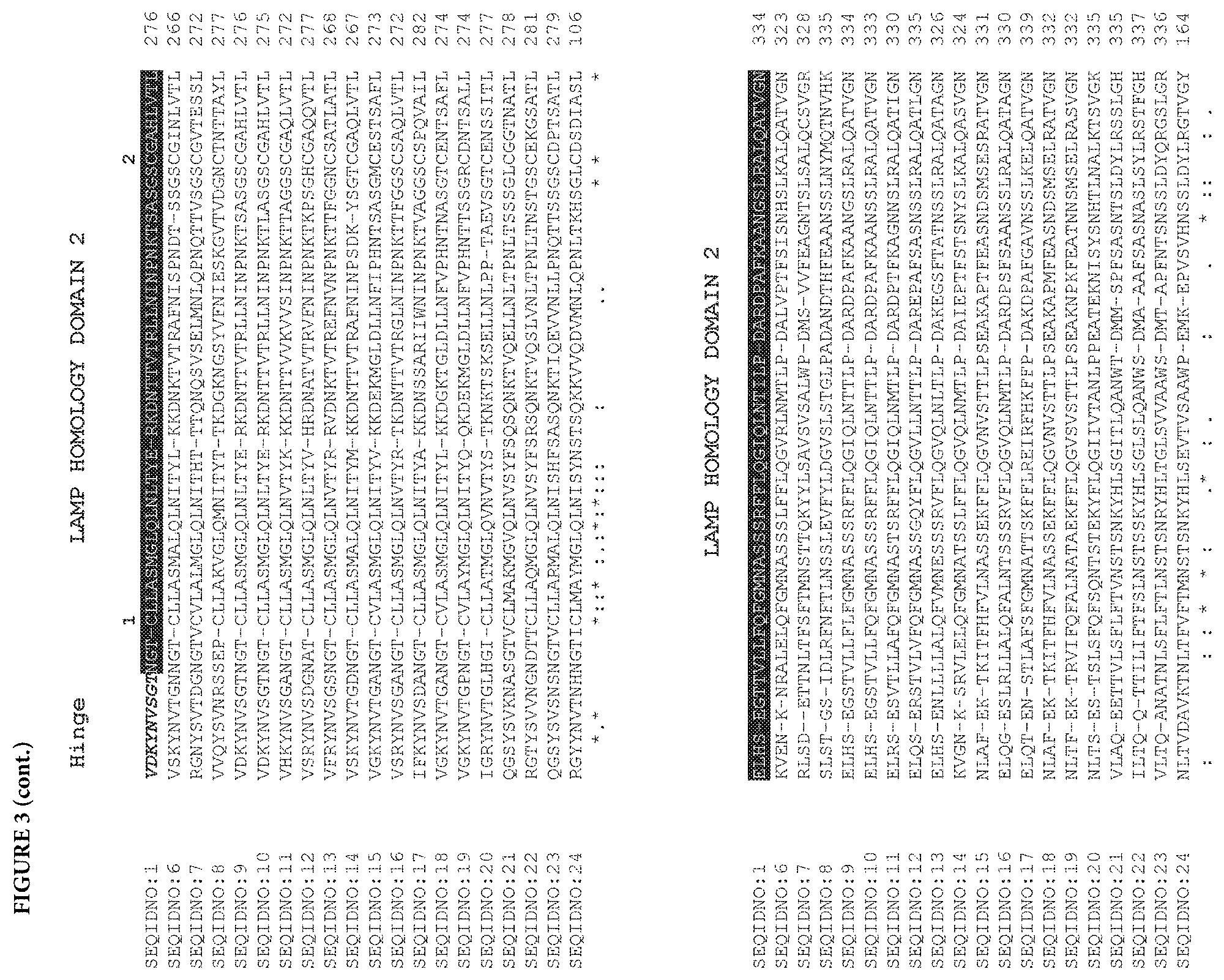 Patent US11773153 Figure 7 – LAMP constructs