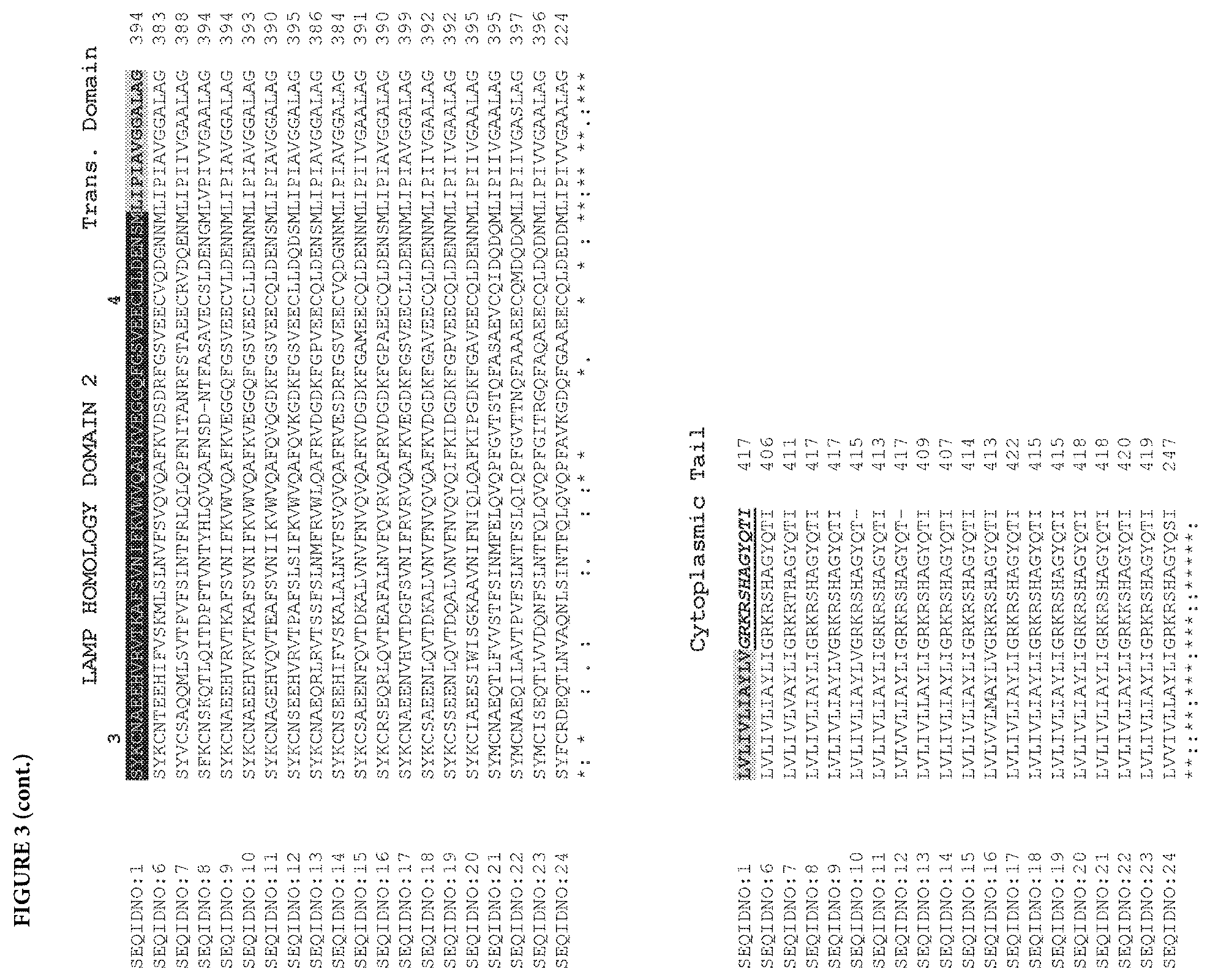 Patent US11773153 Figure 8 – LAMP constructs