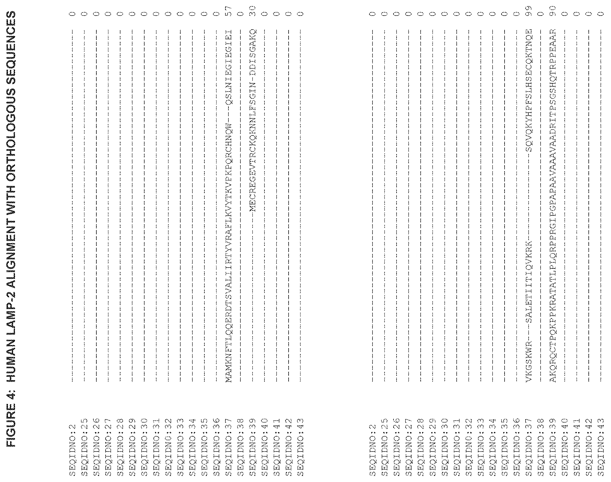 Patent US11773153 Figure 10 – LAMP constructs