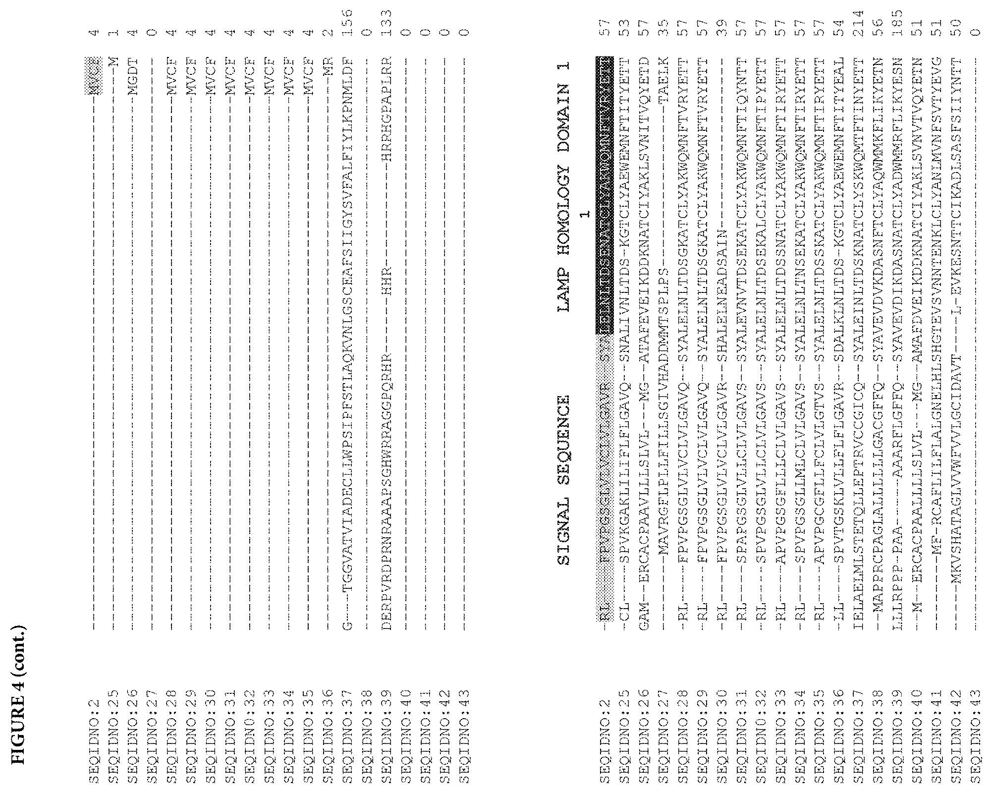 Patent US11773153 Figure 11 – LAMP constructs