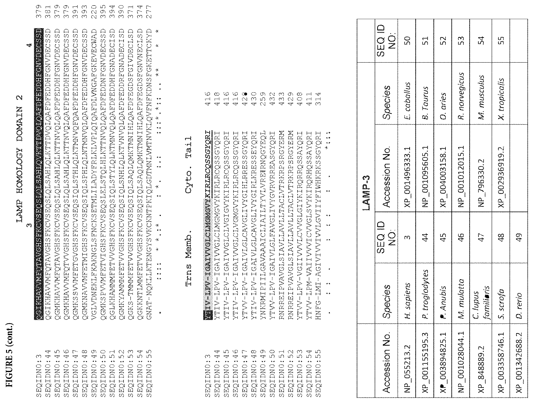 Patent US11773153 Figure 18 – LAMP constructs