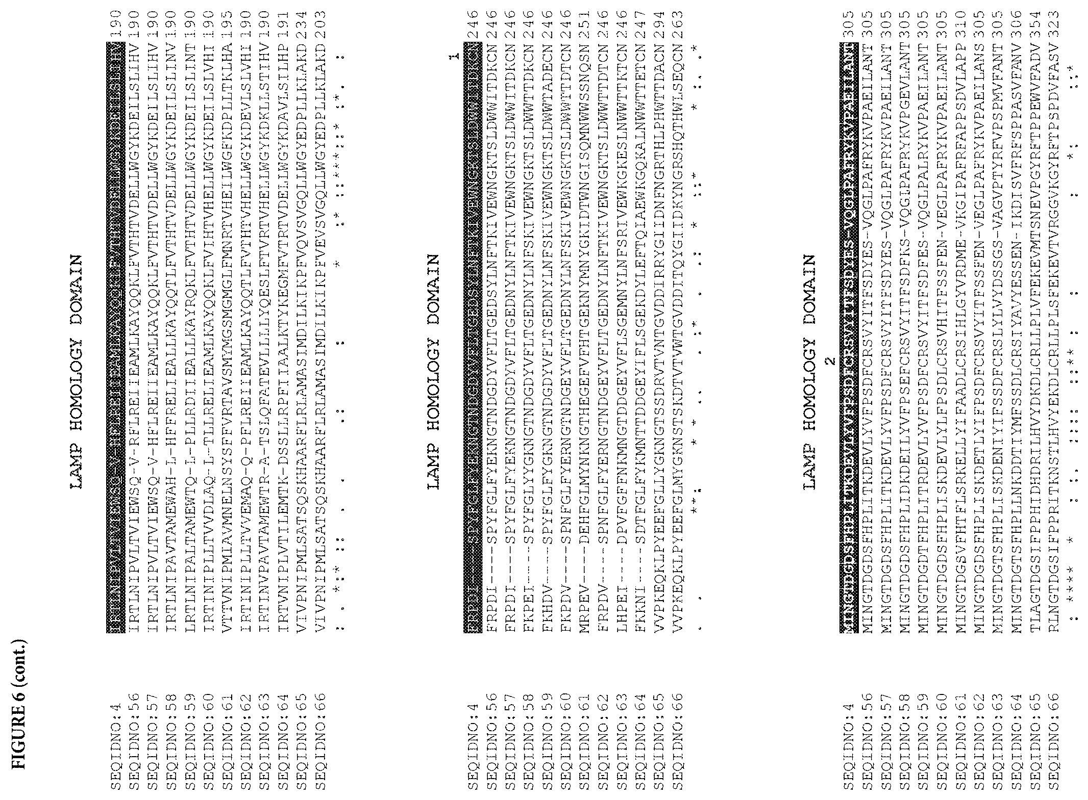 Patent US11773153 Figure 20 – LAMP constructs