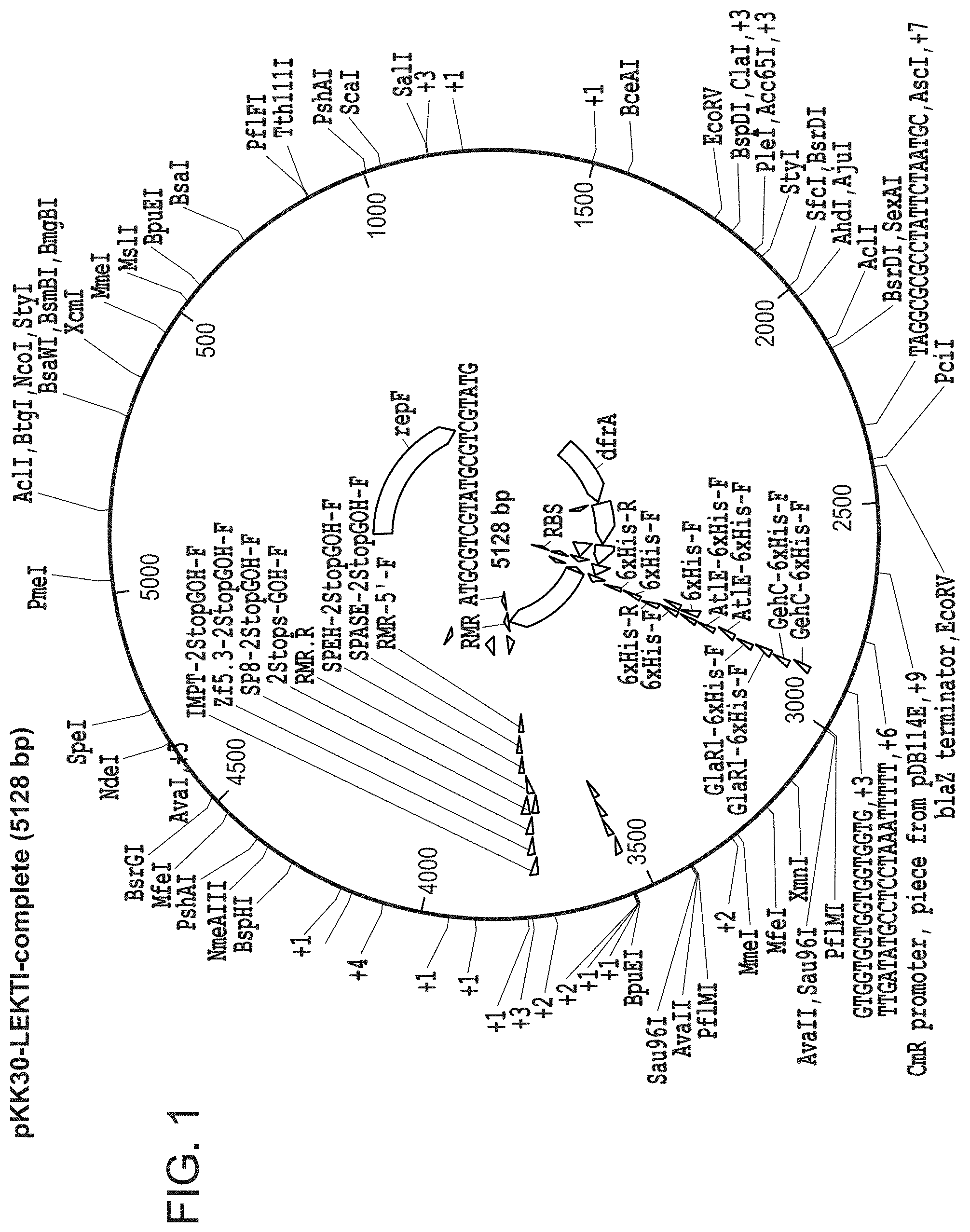 Patent US11773154 Figure 1 – Compositions and methods for treatment of Netherton Syndrome with LEKTI expressing recombinant microbes