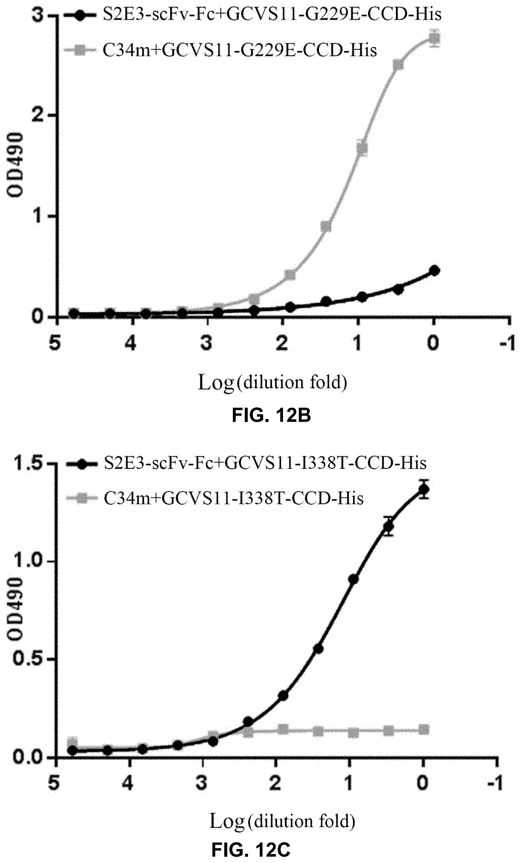 Patent US11773155 Figure 7 – Bispecific antibody against rabies virus, and application thereof