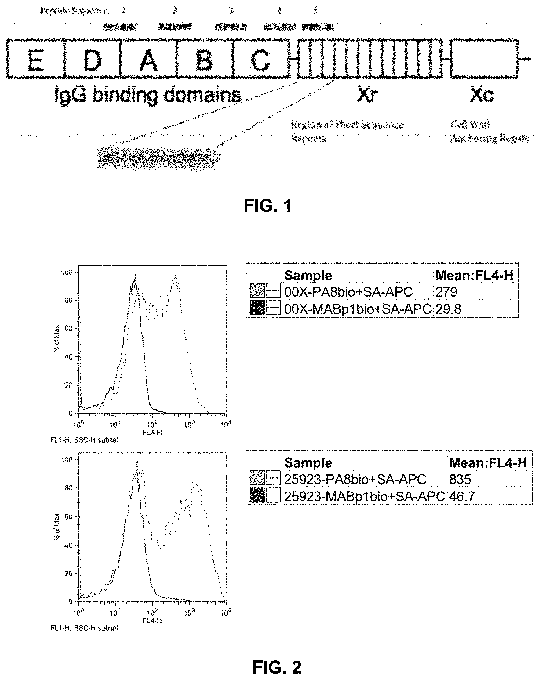 Patent US11773157 Figure 1 – Compositions and methods for treating and preventing Staphylococcus aureus infections