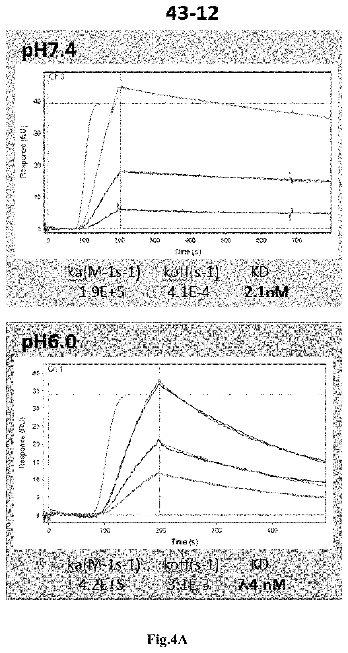 Patent US11773158 Figure 8 – Method of treatment of a tumor with an IL-8 antibody
