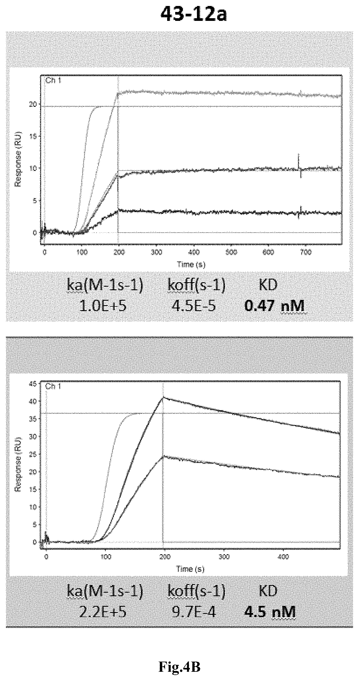 Patent US11773158 Figure 9 – Method of treatment of a tumor with an IL-8 antibody