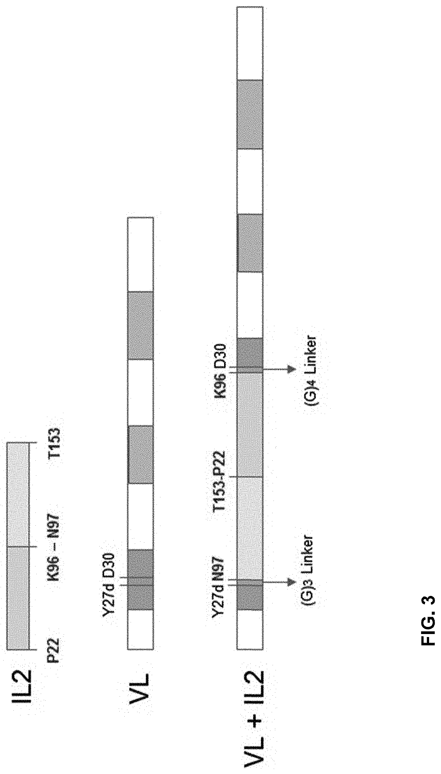 Patent US11773160 Figure 3 – Immune-stimulating IL-2 fusion proteins