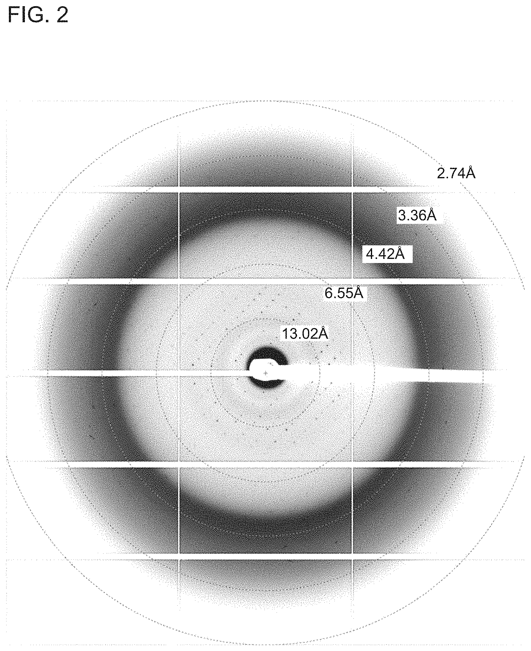 Patent US11773161 Figure 2 – Anti-bril antibody