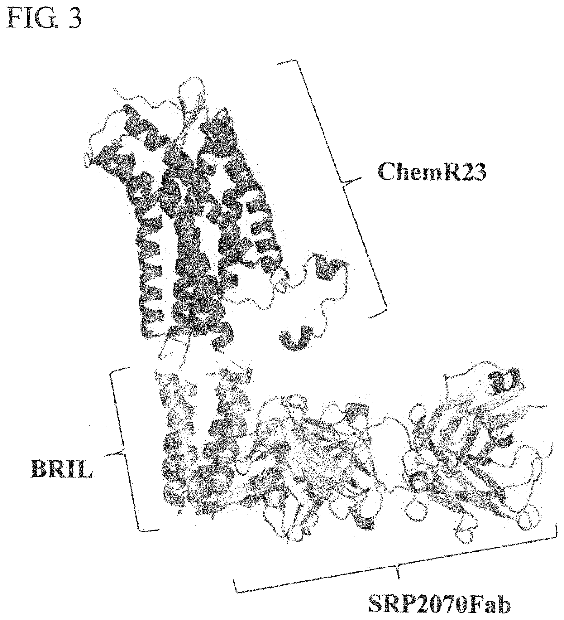 Patent US11773161 Figure 3 – Anti-bril antibody
