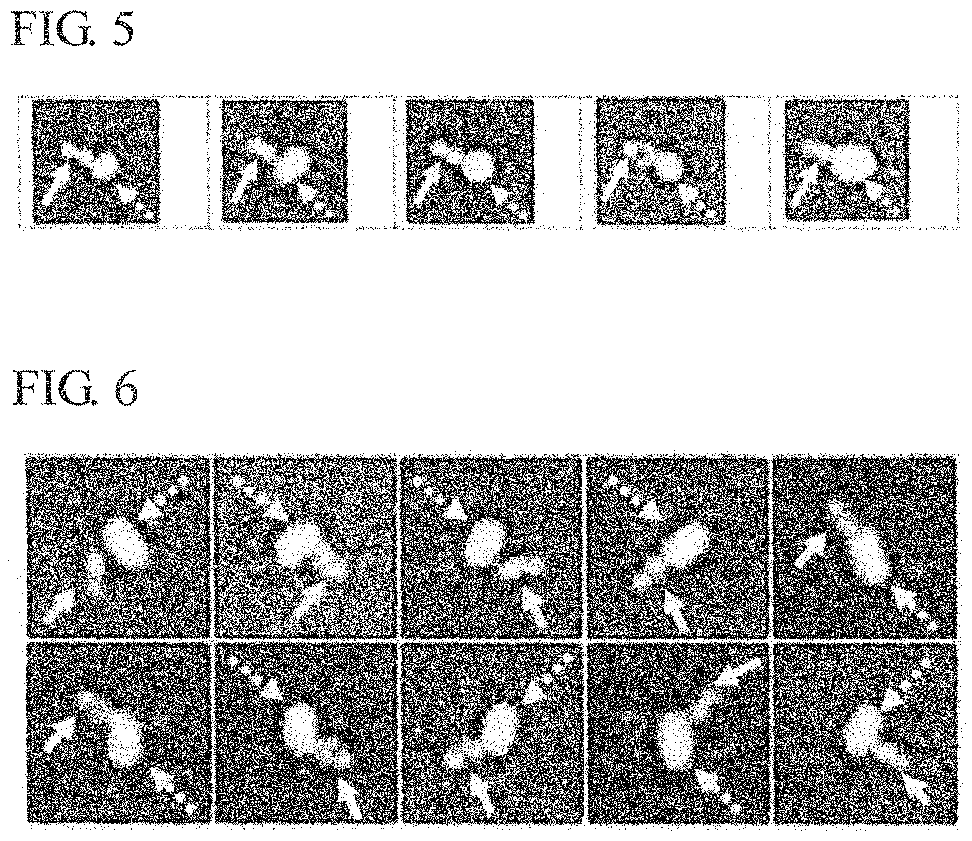 Patent US11773161 Figure 5 – Anti-bril antibody