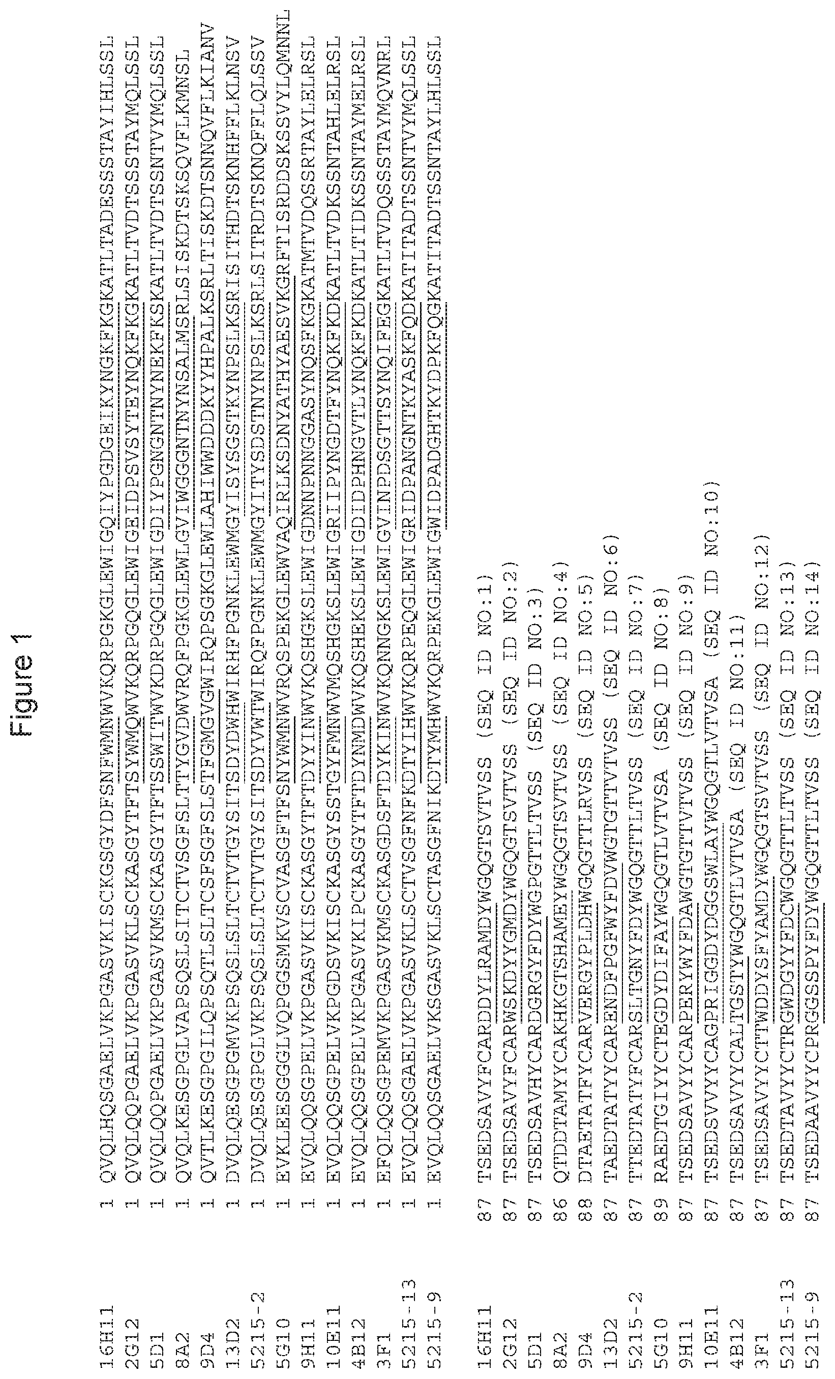 Patent US11773162 Figure 1 – Anti-Siglec-7 antibodies for the treatment of cancer