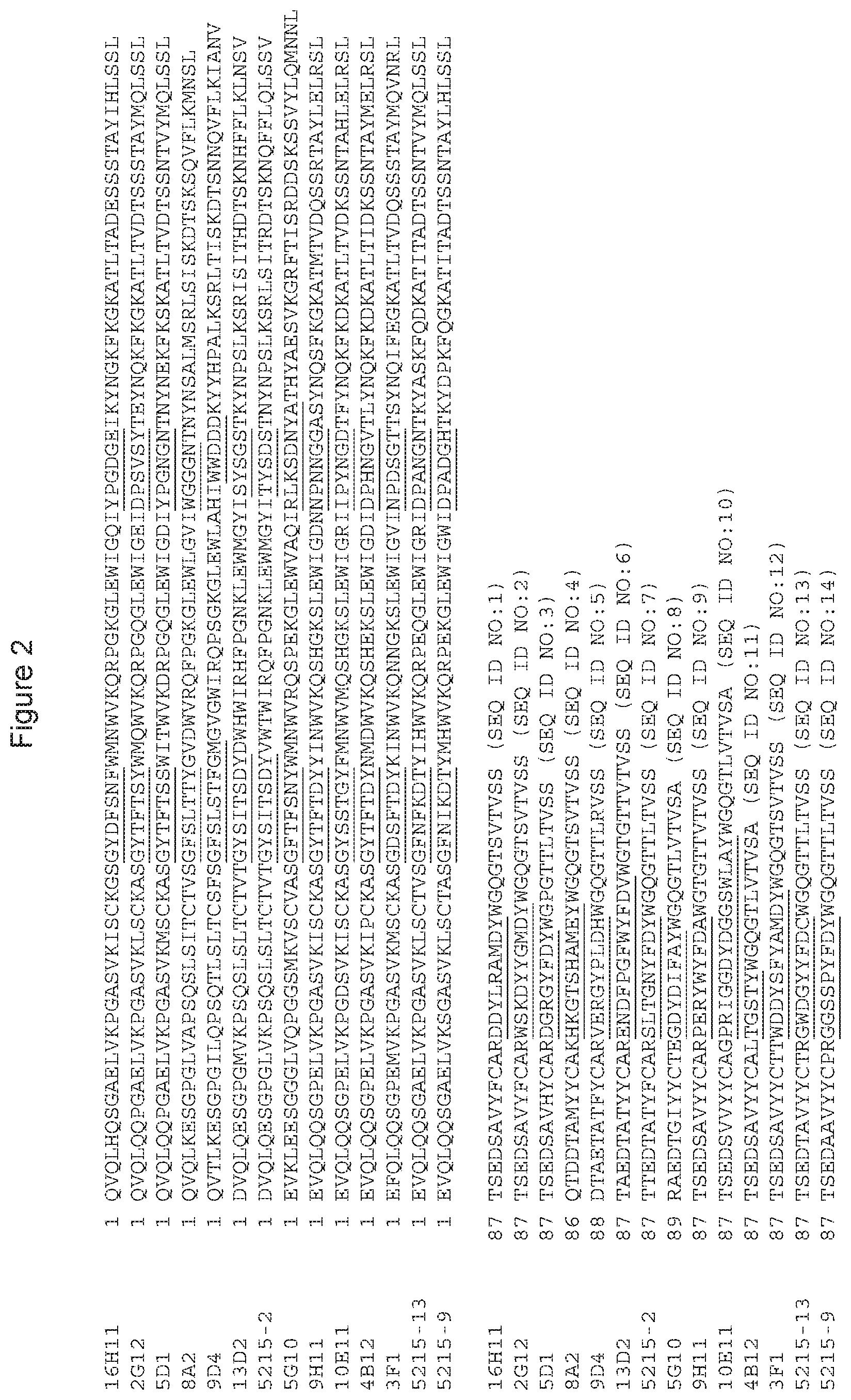 Patent US11773162 Figure 2 – Anti-Siglec-7 antibodies for the treatment of cancer