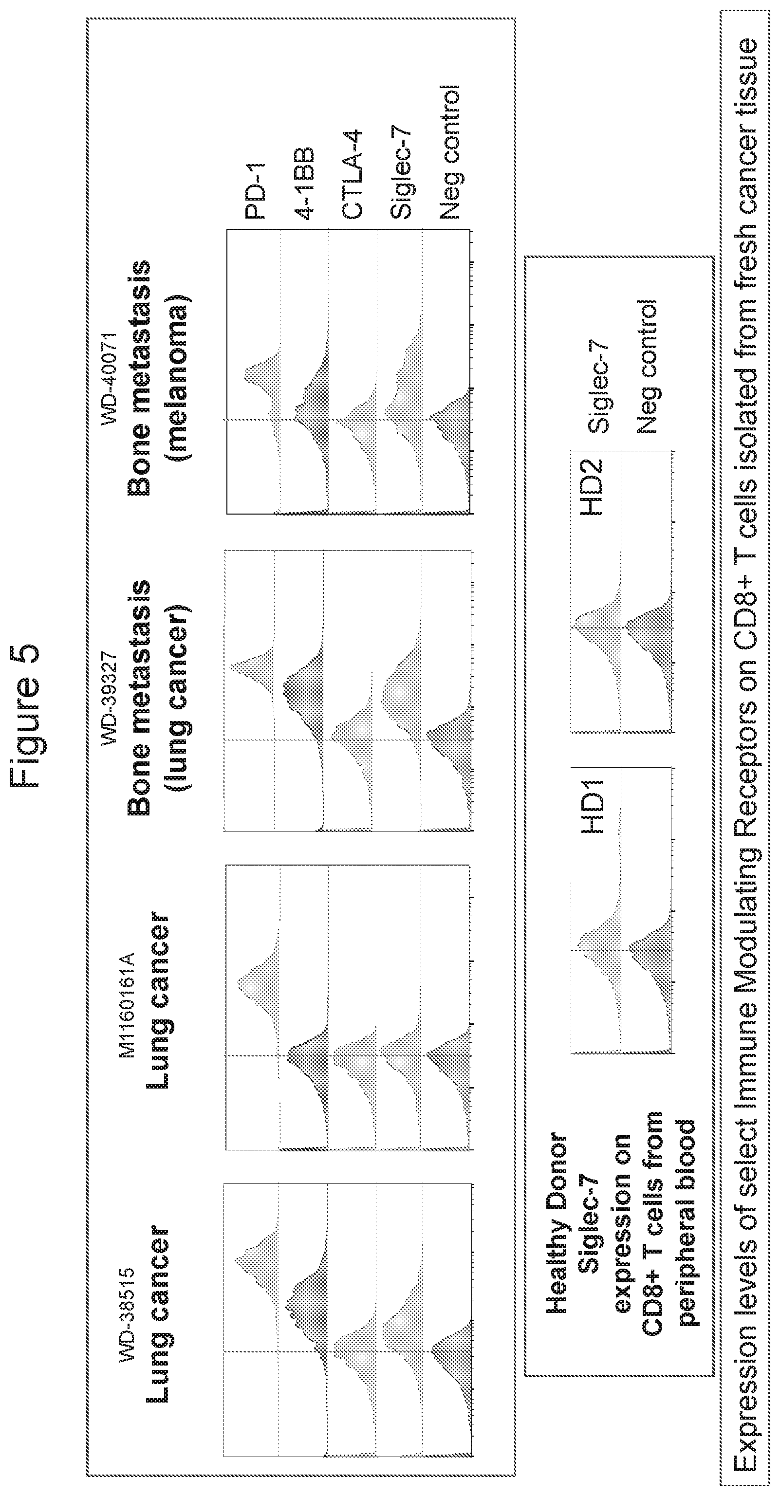 Patent US11773162 Figure 5 – Anti-Siglec-7 antibodies for the treatment of cancer