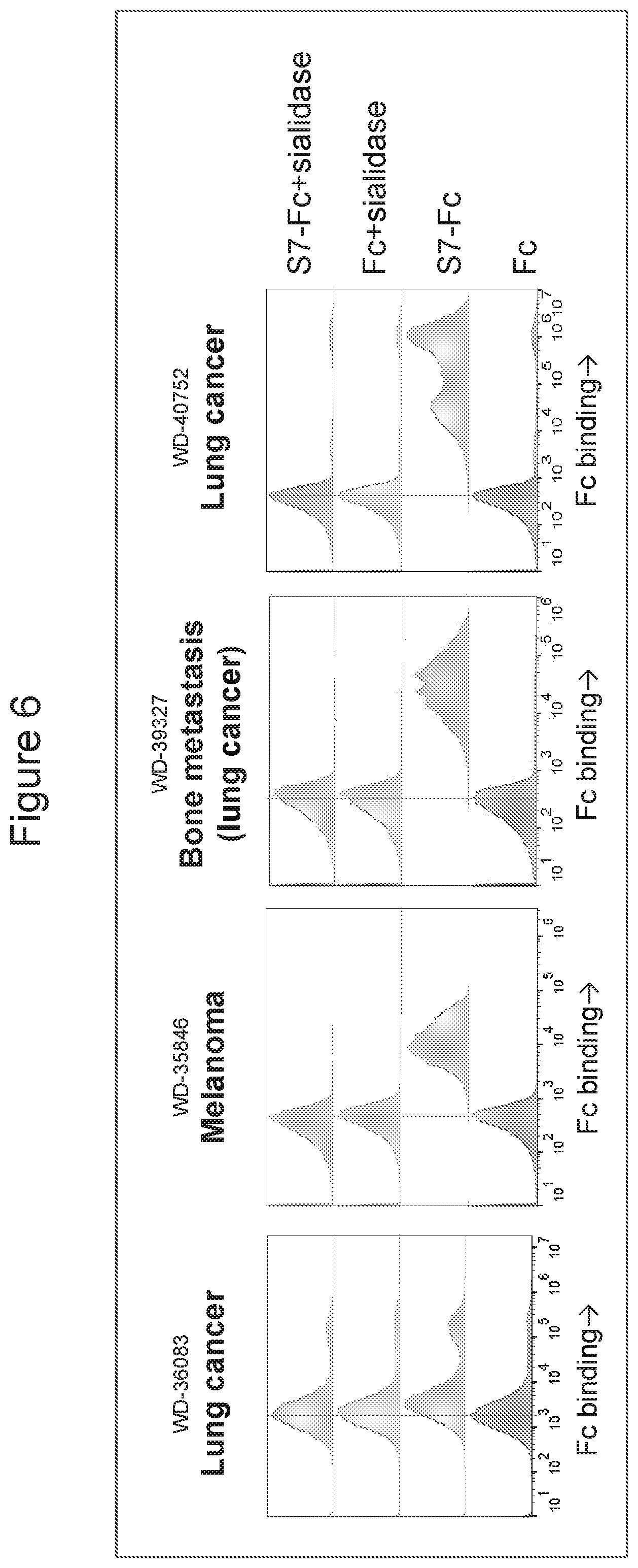 Patent US11773162 Figure 6 – Anti-Siglec-7 antibodies for the treatment of cancer