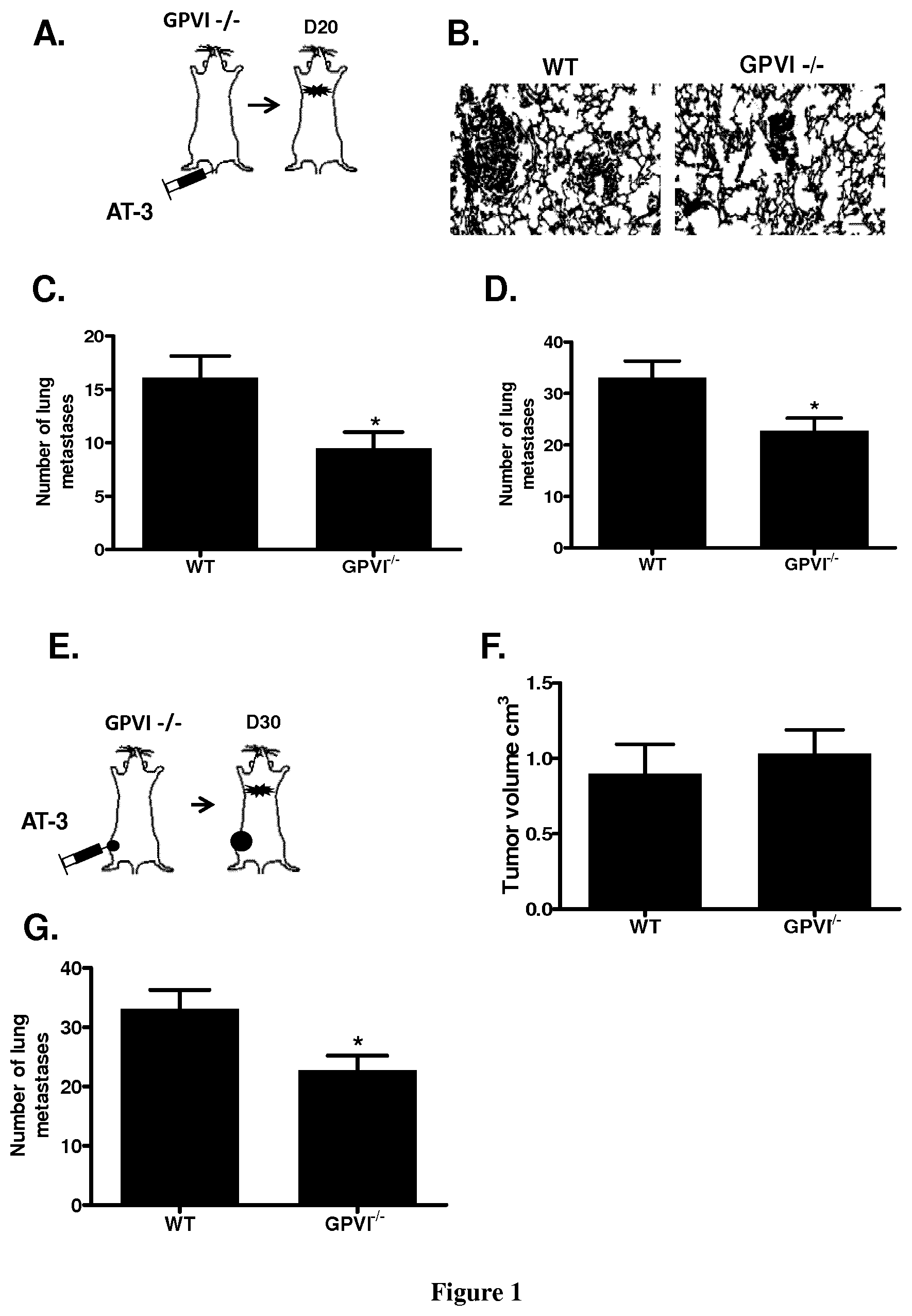 Patent US11773163 Figure 1 – Methods and pharmaceutical compositions for the prophylactic treatment of metastases