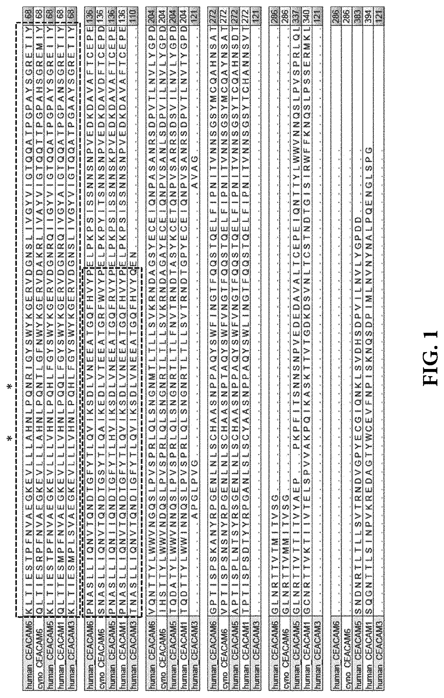 Patent US11773164 Figure 1 – Anti-CEACAM6 antibodies and uses thereof