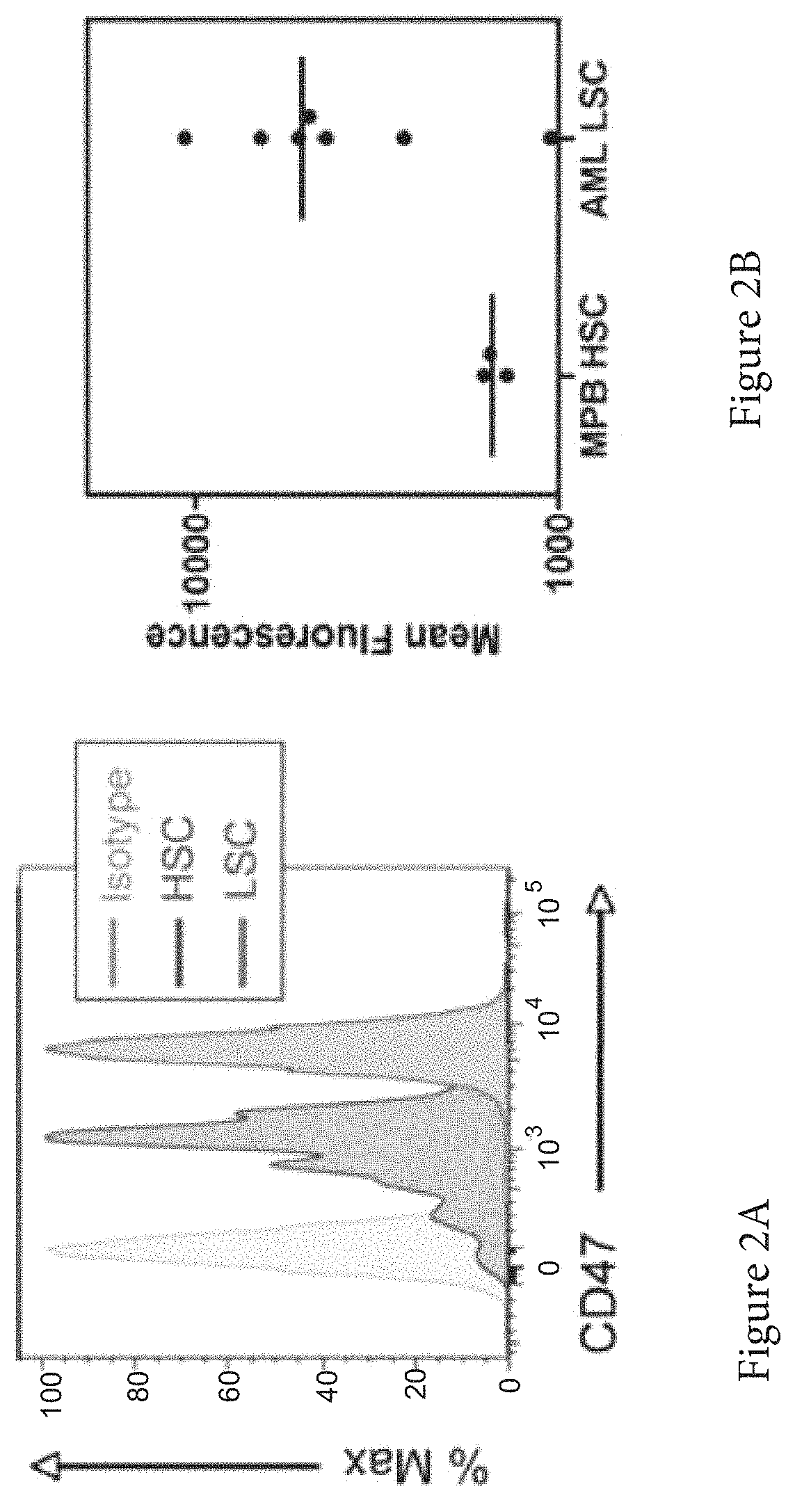 Patent US11773165 Figure 2 – Markers of acute myeloid leukemia stem cells
