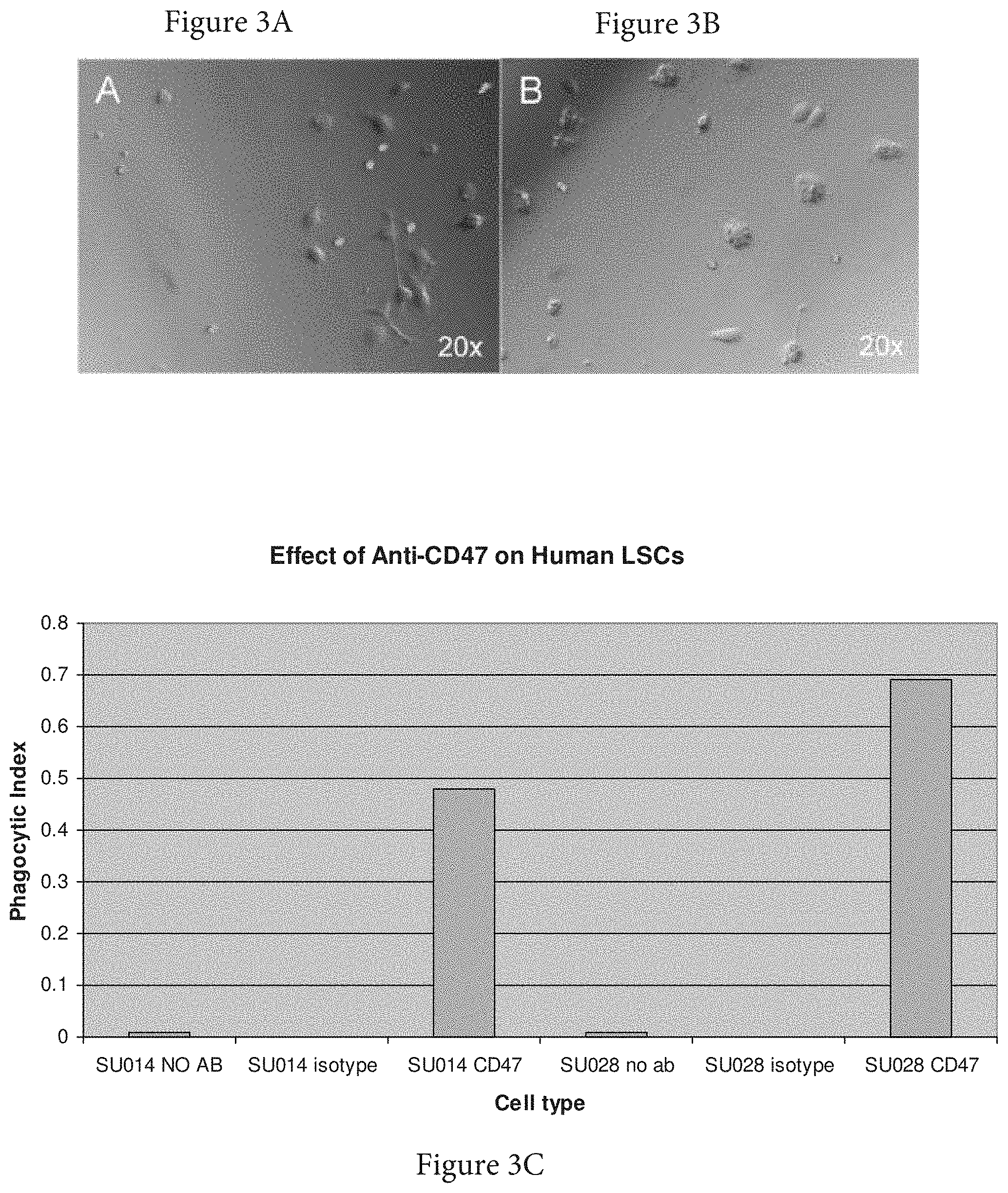 Patent US11773165 Figure 3 – Markers of acute myeloid leukemia stem cells