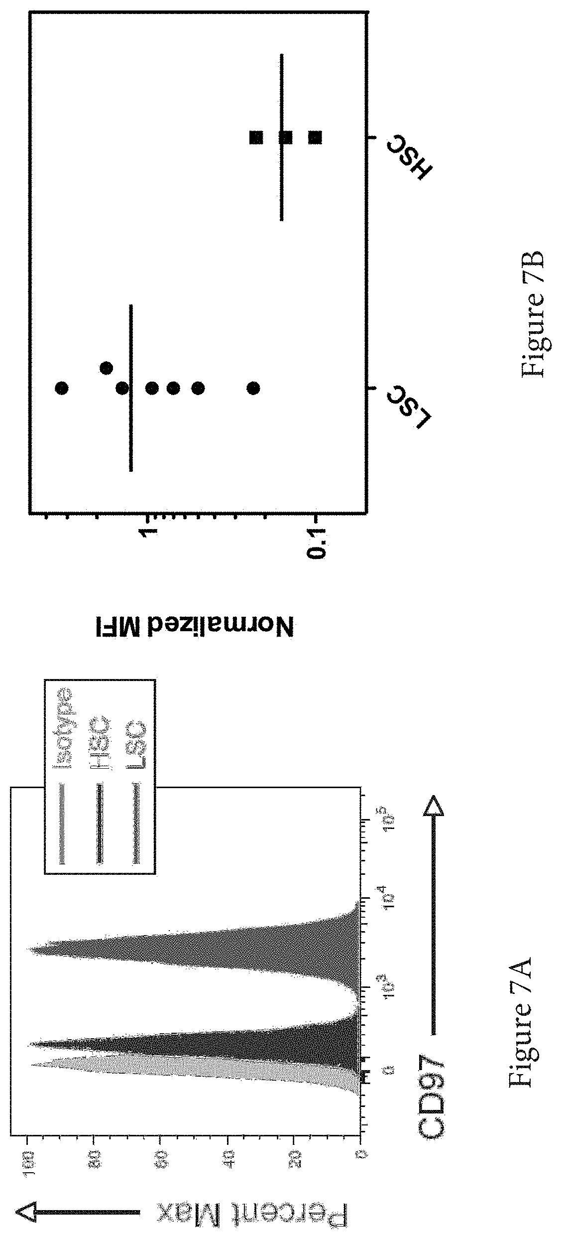 Patent US11773165 Figure 7 – Markers of acute myeloid leukemia stem cells