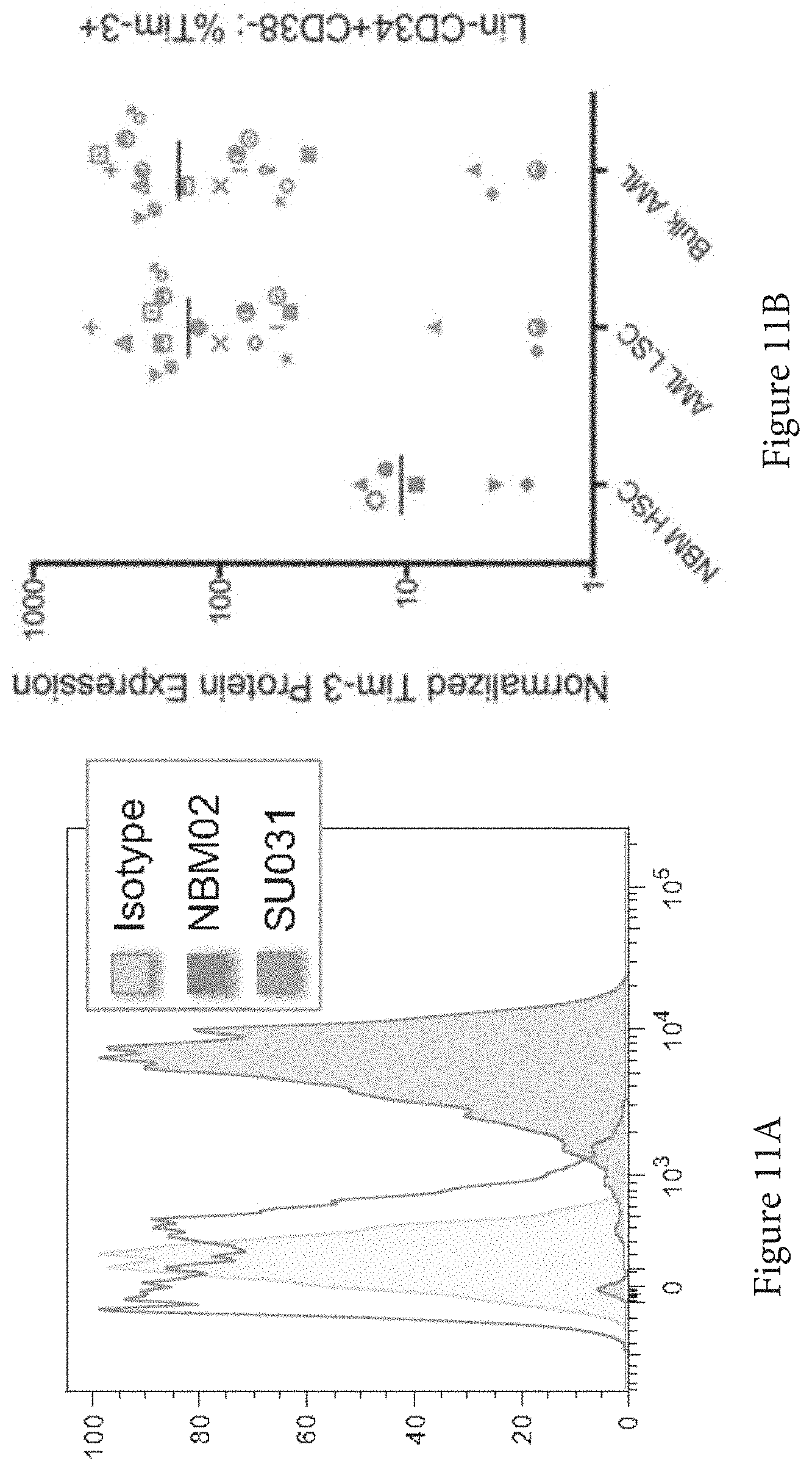 Patent US11773165 Figure 11 – Markers of acute myeloid leukemia stem cells
