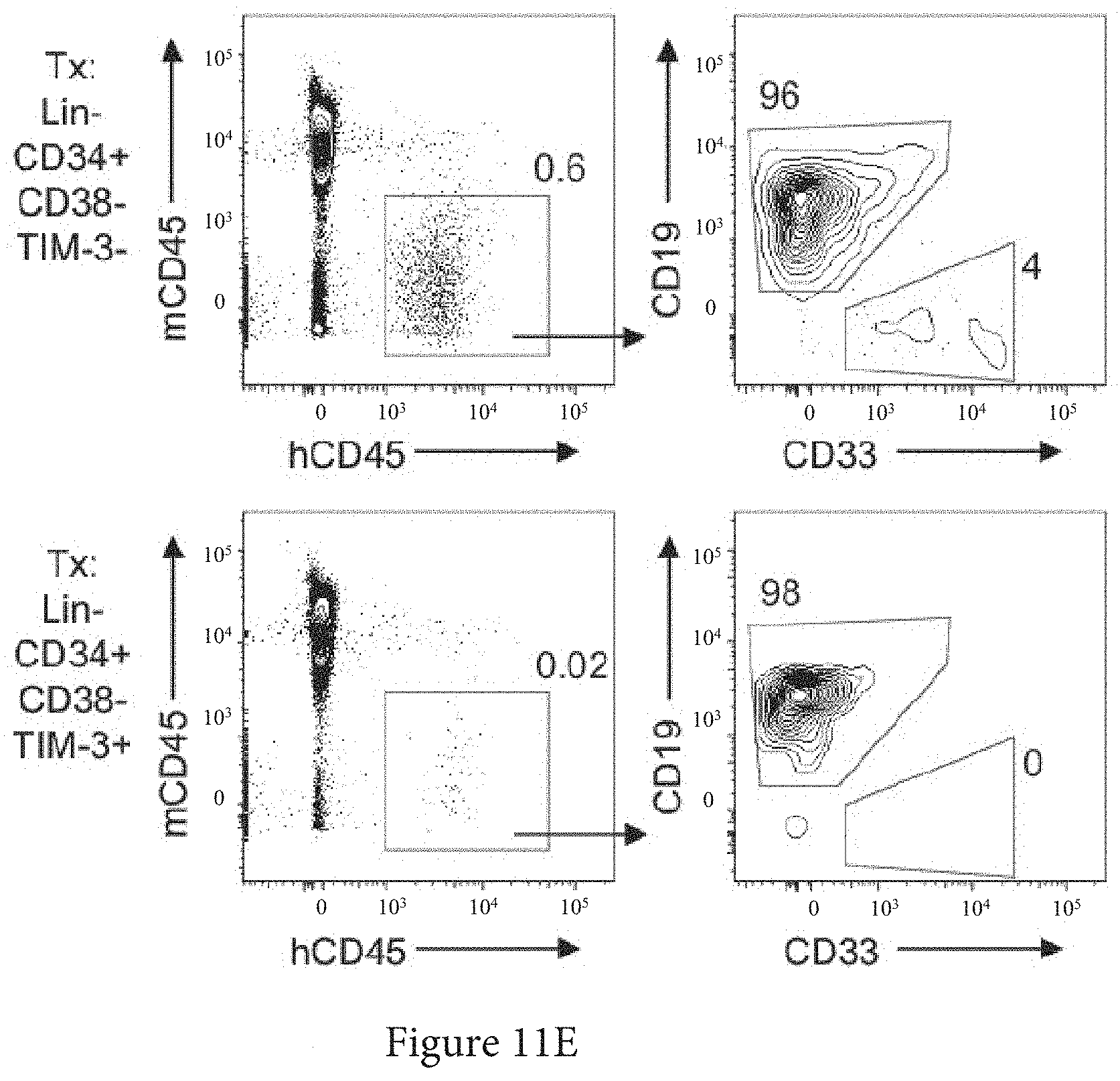 Patent US11773165 Figure 14 – Markers of acute myeloid leukemia stem cells